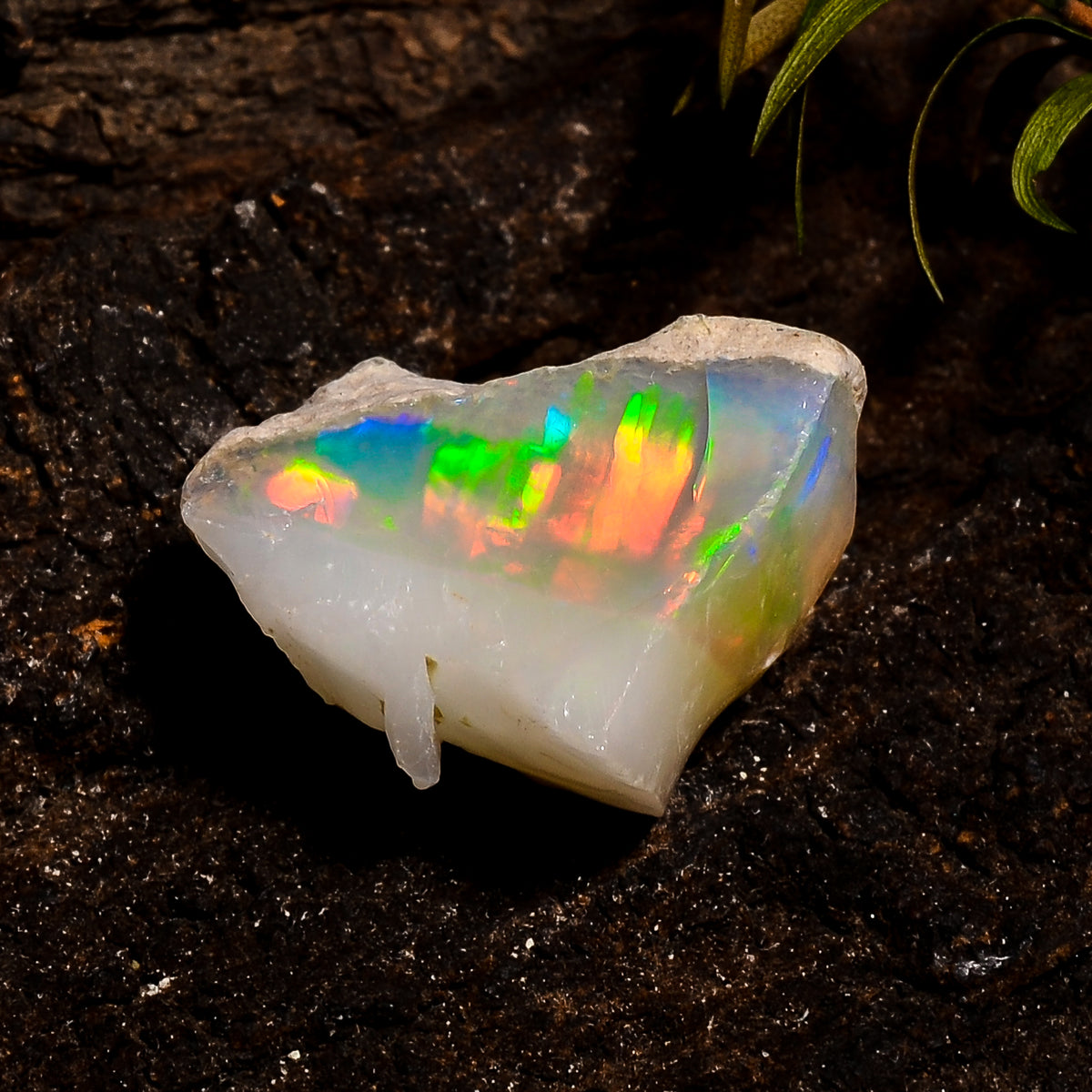 Superb Top Grade Quality 100% Natural Welo Fire White Ethiopian Opal Rough Loose Gemstone For Making Jewelry 20X13X12 MM 16 Cts. KR12-19 Sunkarton