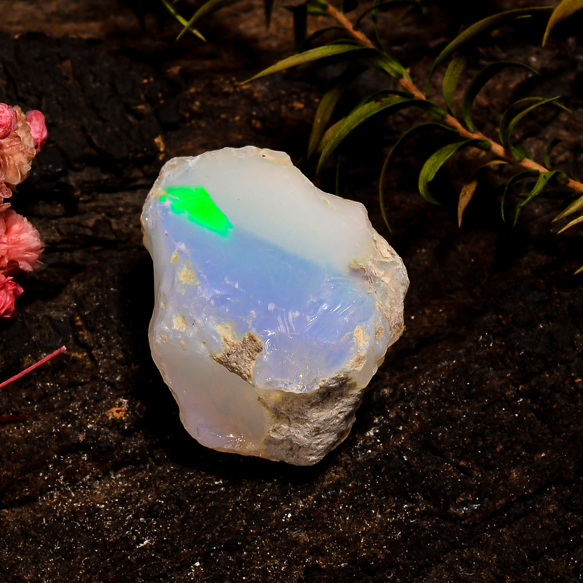 Terrific Top Grade Quality 100% Natural Welo Fire White Ethiopian Opal Rough Loose Gemstone For Making Jewelry 25X17X16 MM 29 Cts. KR12-23 Sunkarton