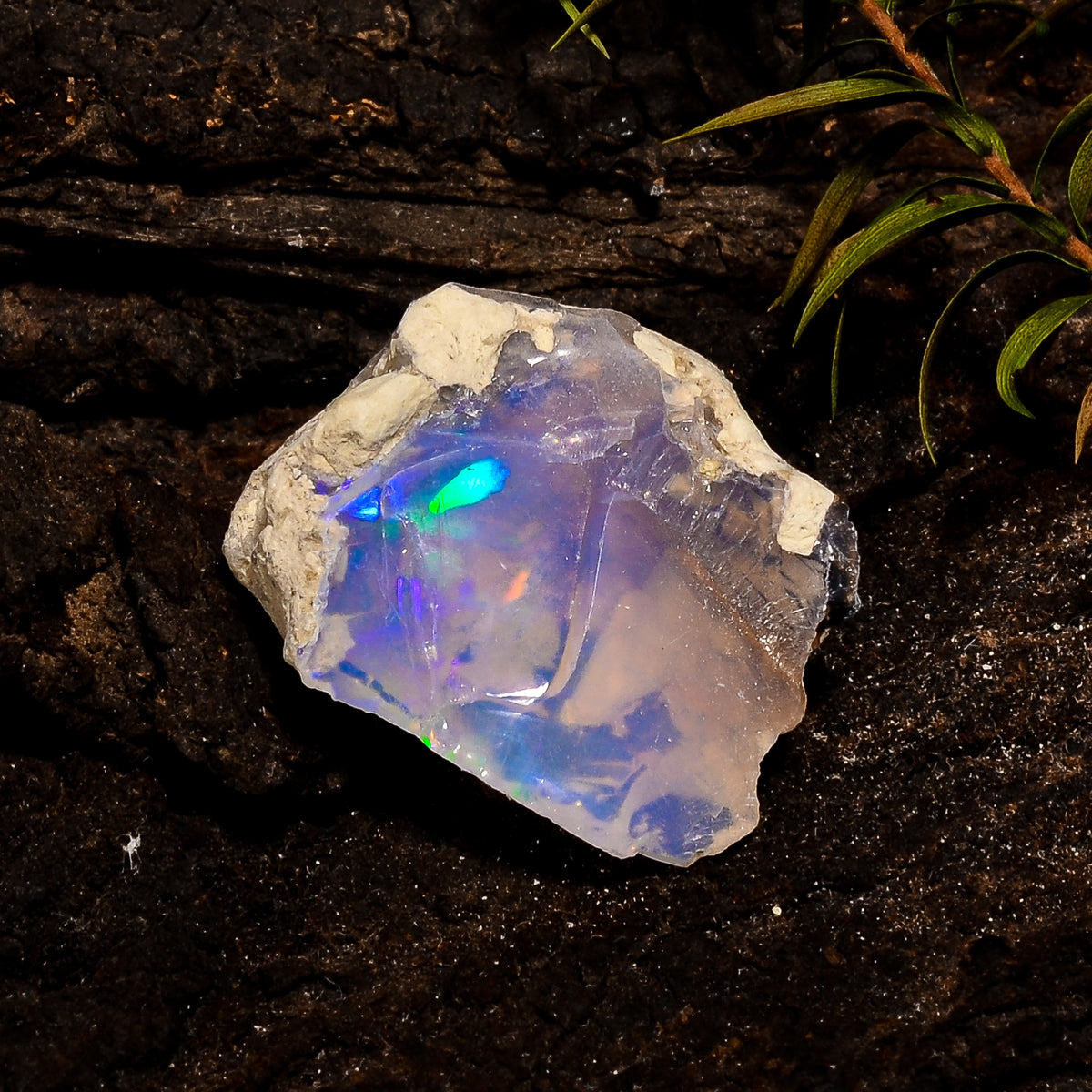 Gorgeous Top Grade Quality 100% Natural Welo Fire White Ethiopian Opal Rough Loose Gemstone For Making Jewelry 23X18X12 MM 18 Cts. KR12-37 Sunkarton