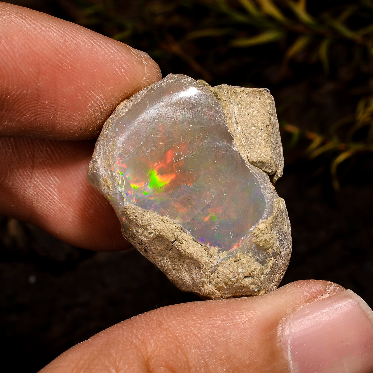 Incredible Top Grade Quality 100% Natural Welo Fire White Ethiopian Opal Rough Loose Gemstone For Making Jewelry 27X16X12MM 41.5 Cts KR12-39 Sunkarton