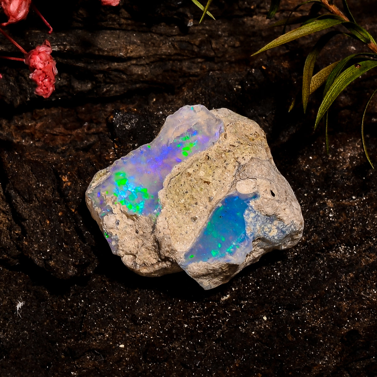 Outstanding Top Grade Quality 100% Natural Welo Fire White Ethiopian Opal Rough Loose Gemstone For Making Jewelry 19X17X8MM 13.5 Cts KR12-42 Sunkarton