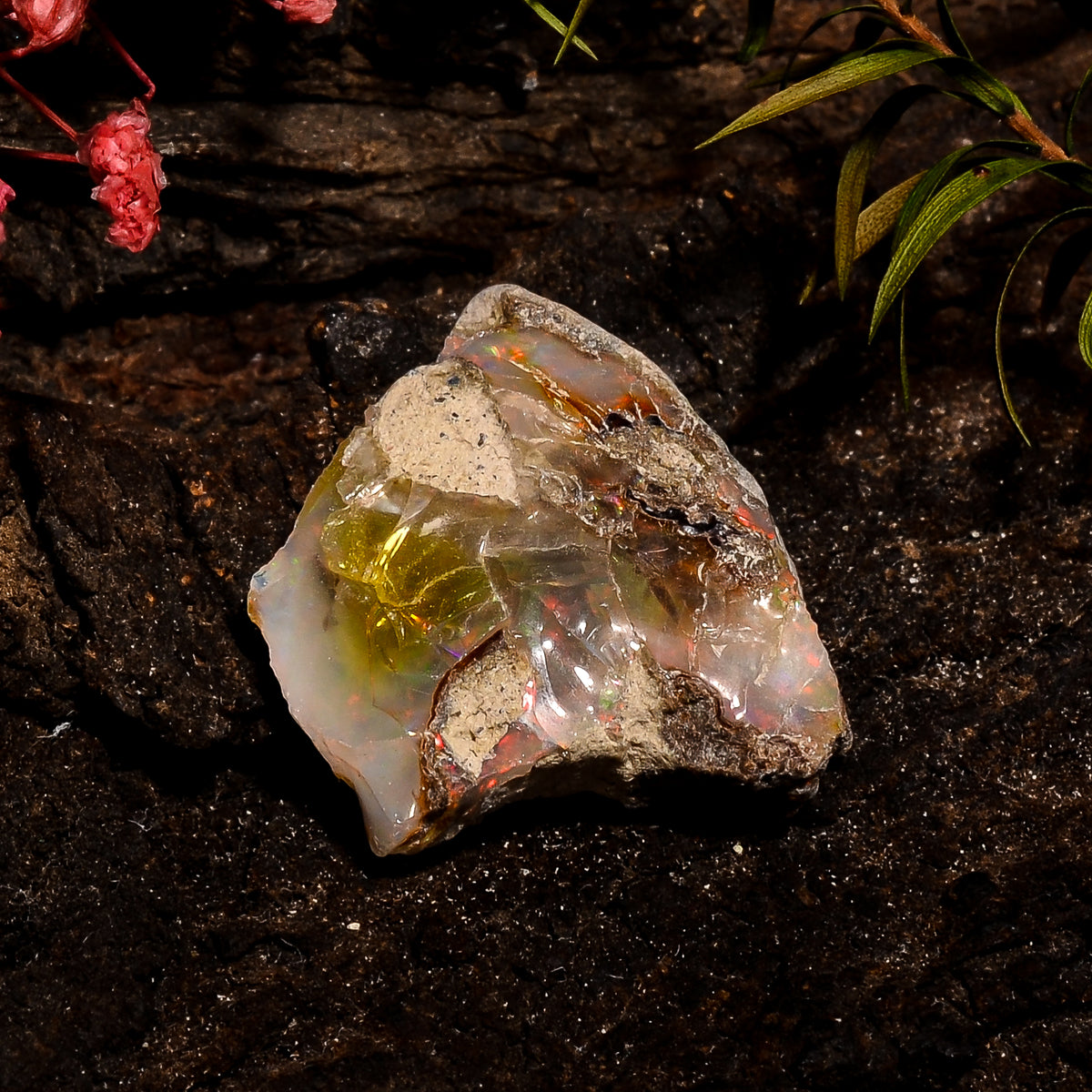 Splendid Top Grade Quality 100% Natural Welo Fire White Ethiopian Opal Rough Loose Gemstone For Making Jewelry 23X19X8 MM 18 Cts. KR12-43 Sunkarton