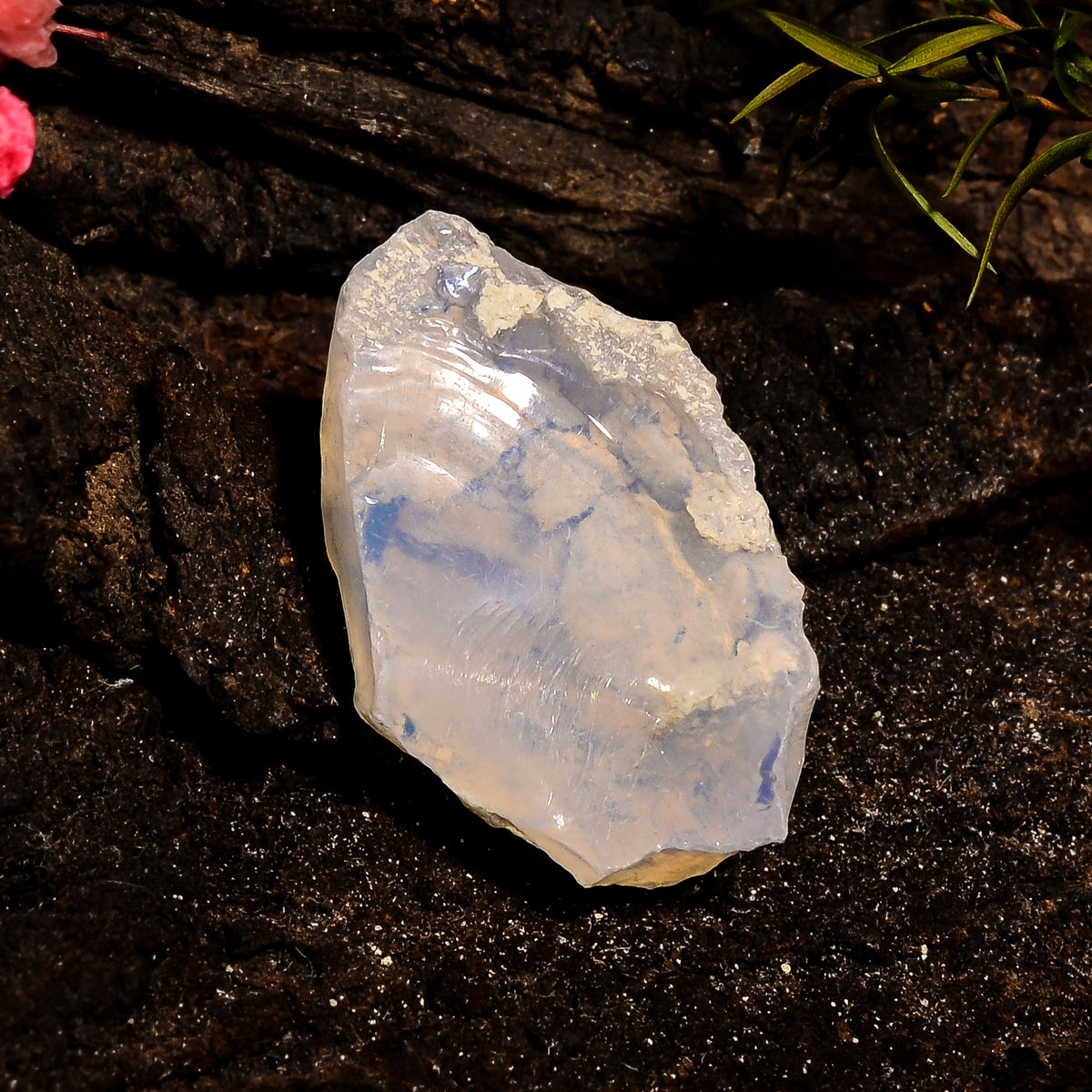 Wonderful Top Grade Quality 100% Natural Welo Fire White Ethiopian Opal Rough Loose Gemstone For Making Jewelry 25X15X8 MM 14 Cts. KR12-50 Sunkarton