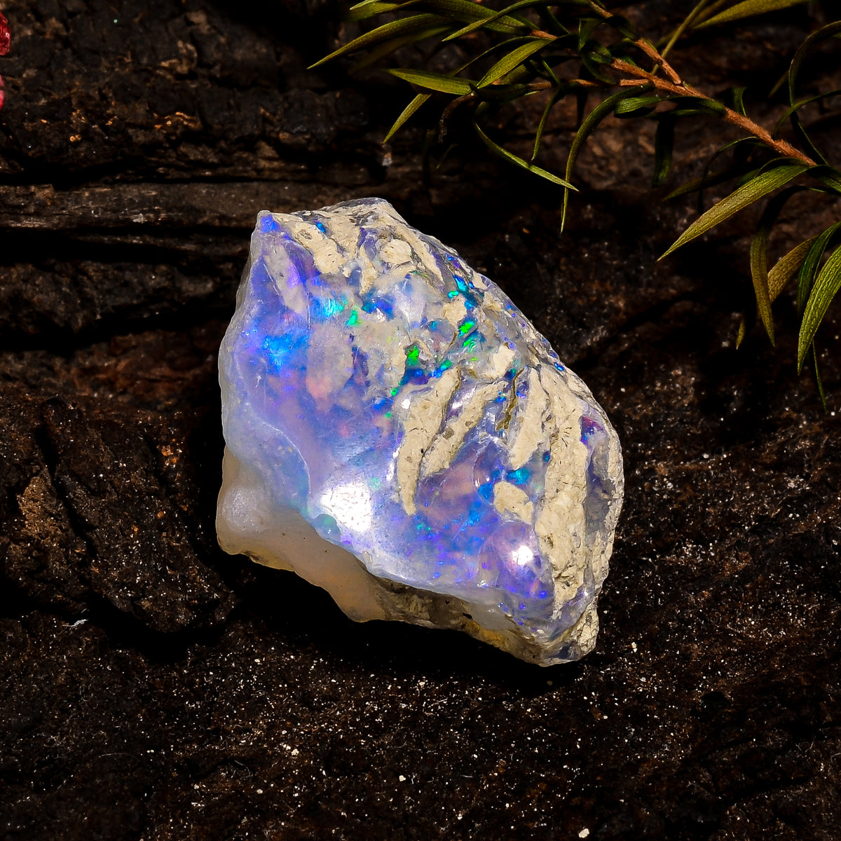 Amazing Top Grade Quality 100% Natural Welo Fire White Ethiopian Opal Rough Loose Gemstone For Making Jewelry 28X18X13 MM 29 Cts. KR12-51 Sunkarton