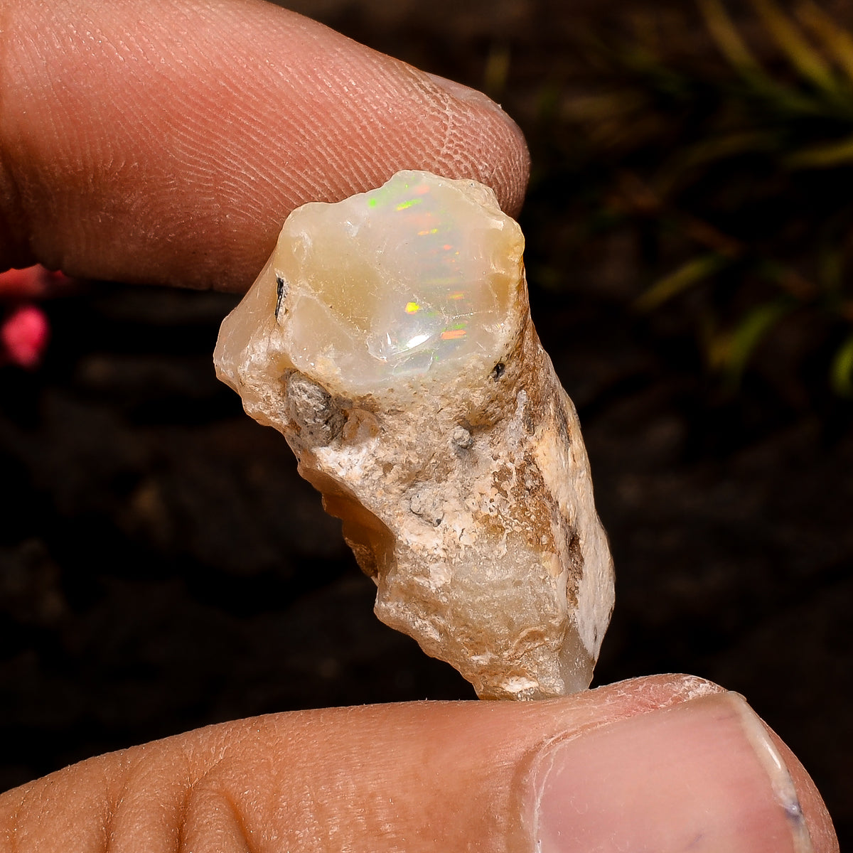 Classic Top Grade Quality 100% Natural Welo Fire White Ethiopian Opal Rough Loose Gemstone For Making Jewelry 25X14X13 MM 20.5 Cts. KR12-55 Sunkarton