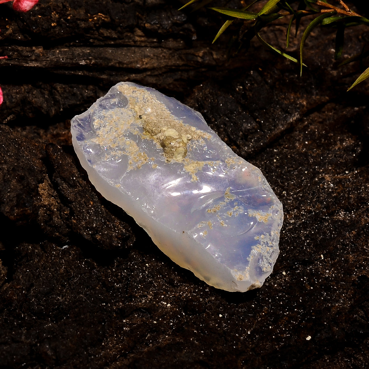 Dazzling Top Grade Quality 100% Natural Welo Fire White Ethiopian Opal Rough Loose Gemstone For Making Jewelry 30X16X7 MM 13.5 Cts. KR12-56 Sunkarton