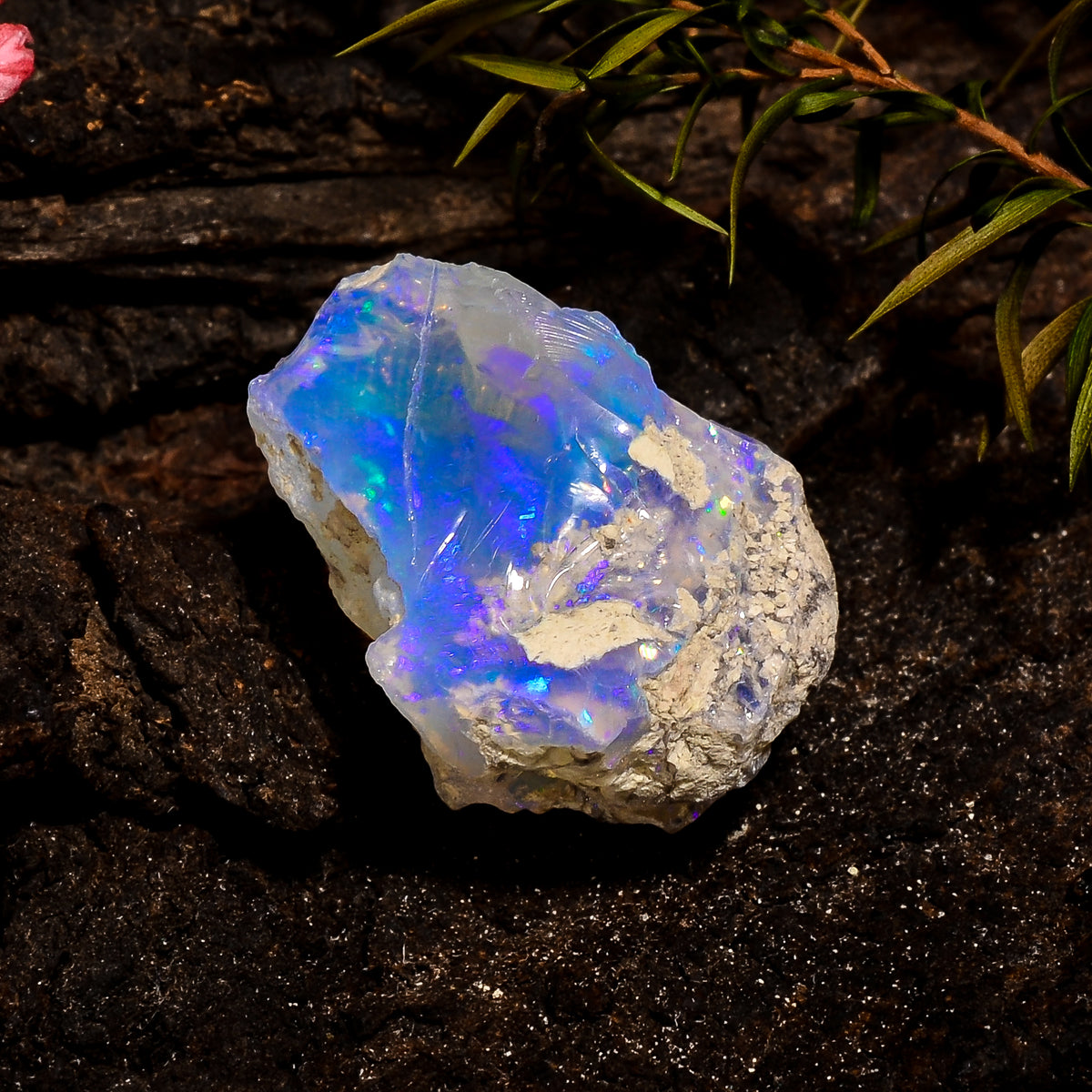 Fantastic Top Grade Quality 100% Natural Welo Fire White Ethiopian Opal Rough Loose Gemstone For Making Jewelry 23X16X13 MM 23 Cts. KR12-61 Sunkarton