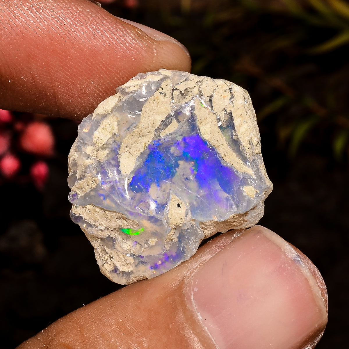 Stunning Top Grade Quality 100% Natural Welo Fire White Ethiopian Opal Rough Loose Gemstone For Making Jewelry 23X18X8 MM 14.5 Cts. KR12-70 Sunkarton