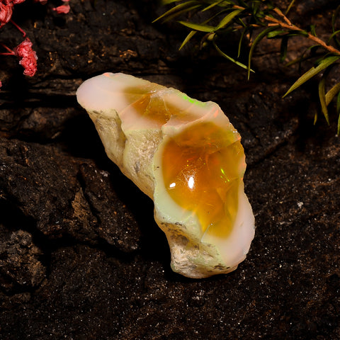Tempting Top Grade Quality 100% Natural Welo Fire Brown Ethiopian Opal Rough Loose Gemstone For Making Jewelry 34X20X13 MM 31 Cts. KR12-72 Sunkarton