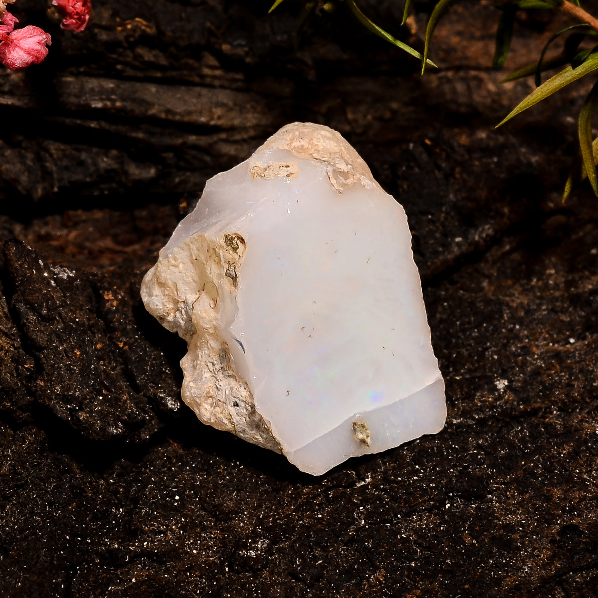Unique Top Grade Quality 100% Natural Welo Fire White Ethiopian Opal Rough Loose Gemstone For Making Jewelry 21X14X11 MM 15 Cts. KR12-74 Sunkarton