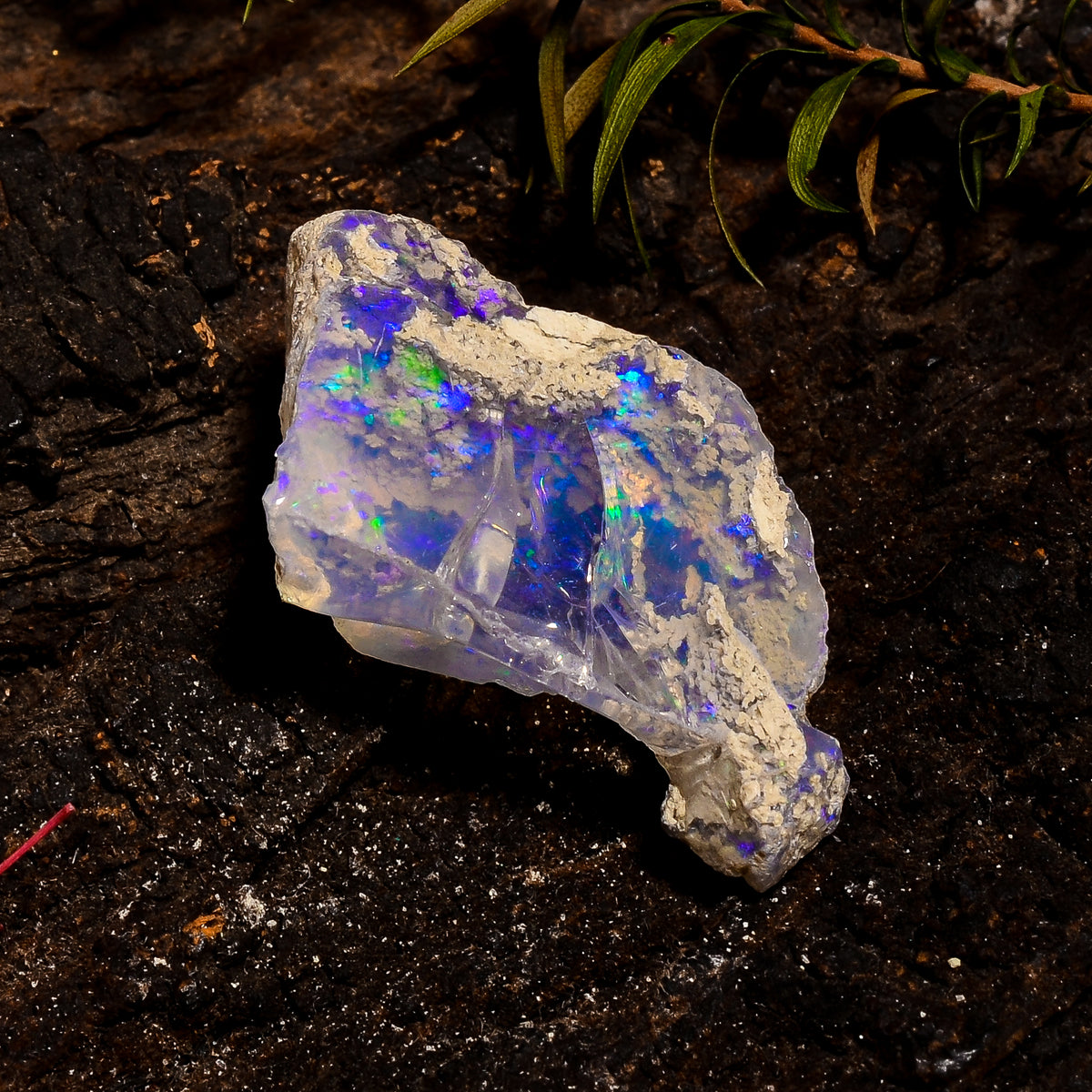 Excellent Top Grade Quality 100% Natural Welo Fire White Ethiopian Opal Rough Loose Gemstone For Making Jewelry 30X16X10 MM 20 Cts. KR12-7 Sunkarton
