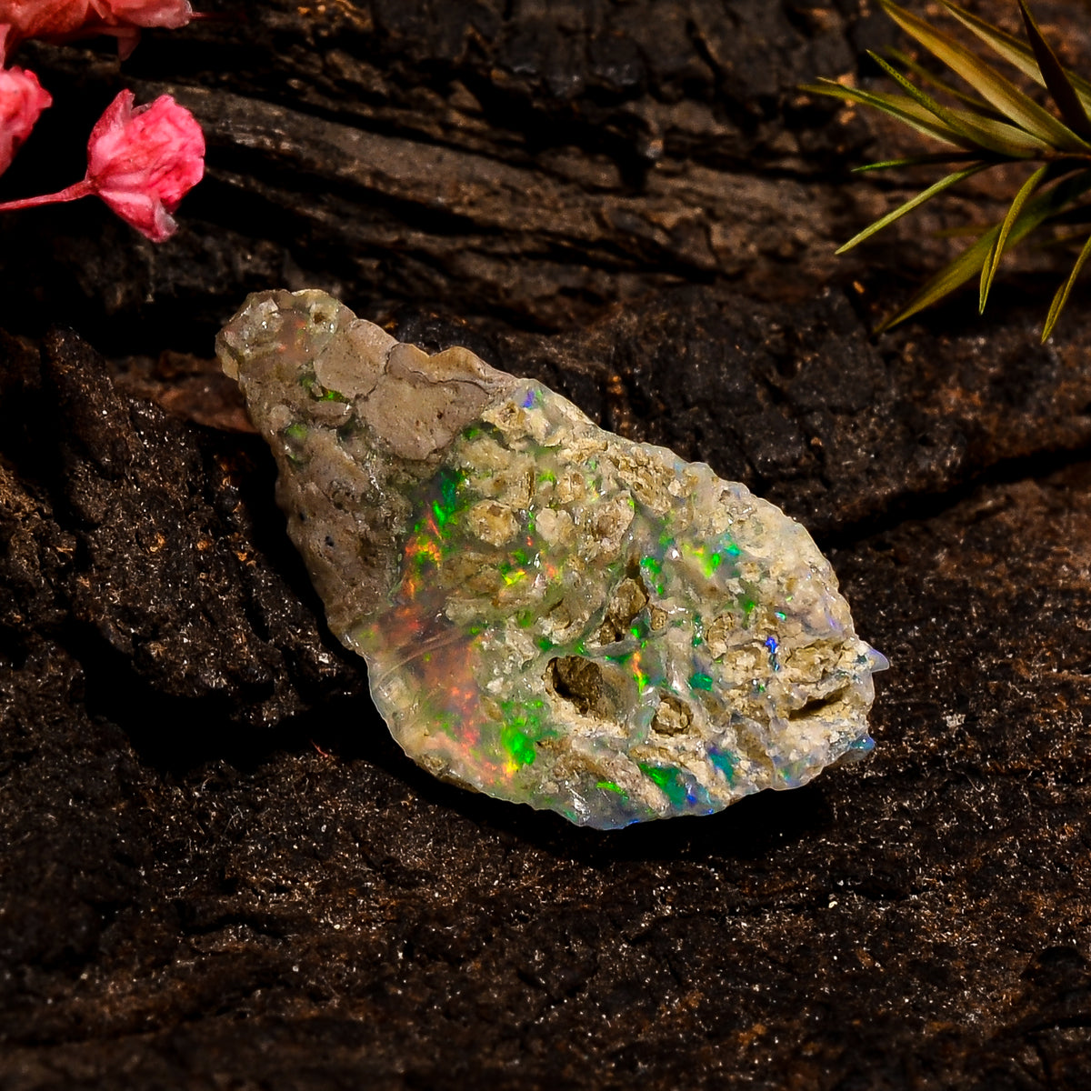 Classic Top Grade Quality 100% Natural Welo Fire White Ethiopian Opal Rough Loose Gemstone For Making Jewelry 25X13X10 MM 10 Cts. KR12-80 Sunkarton