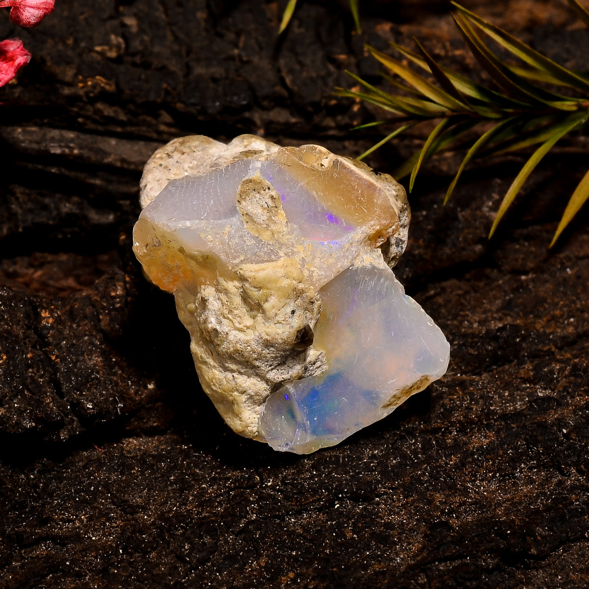 Dazzling Top Grade Quality 100% Natural Welo Fire White Ethiopian Opal Rough Loose Gemstone For Making Jewelry 25X17X13 MM 22.5 Cts. KR12-81 Sunkarton
