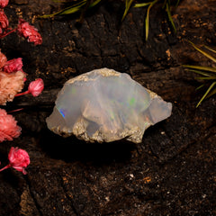 Fantastic Top Grade Quality 100% Natural Welo Fire White Ethiopian Opal Rough Loose Gemstone For Making Jewelry 18X16X13 MM 19 Cts. KR12-86 Sunkarton
