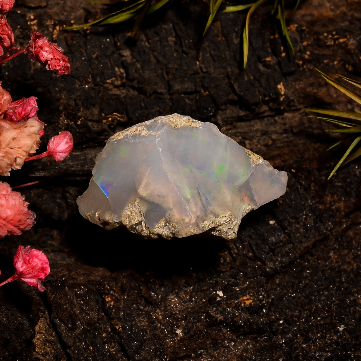 Fantastic Top Grade Quality 100% Natural Welo Fire White Ethiopian Opal Rough Loose Gemstone For Making Jewelry 18X16X13 MM 19 Cts. KR12-86 Sunkarton