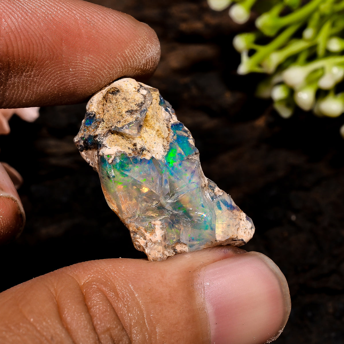 Superb Top Grade Quality 100% Natural Welo Fire Ethiopian Opal Fancy Rough Loose Gemstone For Making Jewelry 27X14X9 MM 16.5 Cts. KR13-19 Sunkarton