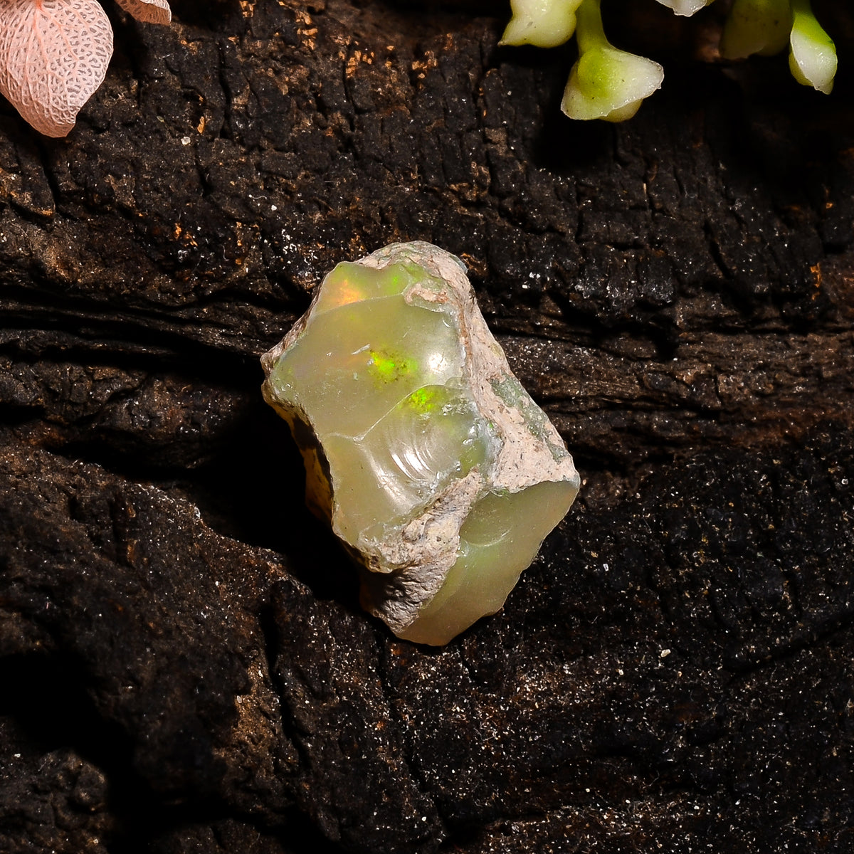 Immaculate Top Grade Quality 100% Natural Welo Fire Ethiopian Opal Fancy Rough Loose Gemstone For Making Jewelry 19X12X10 MM 11 Cts. KR13-88 Sunkarton