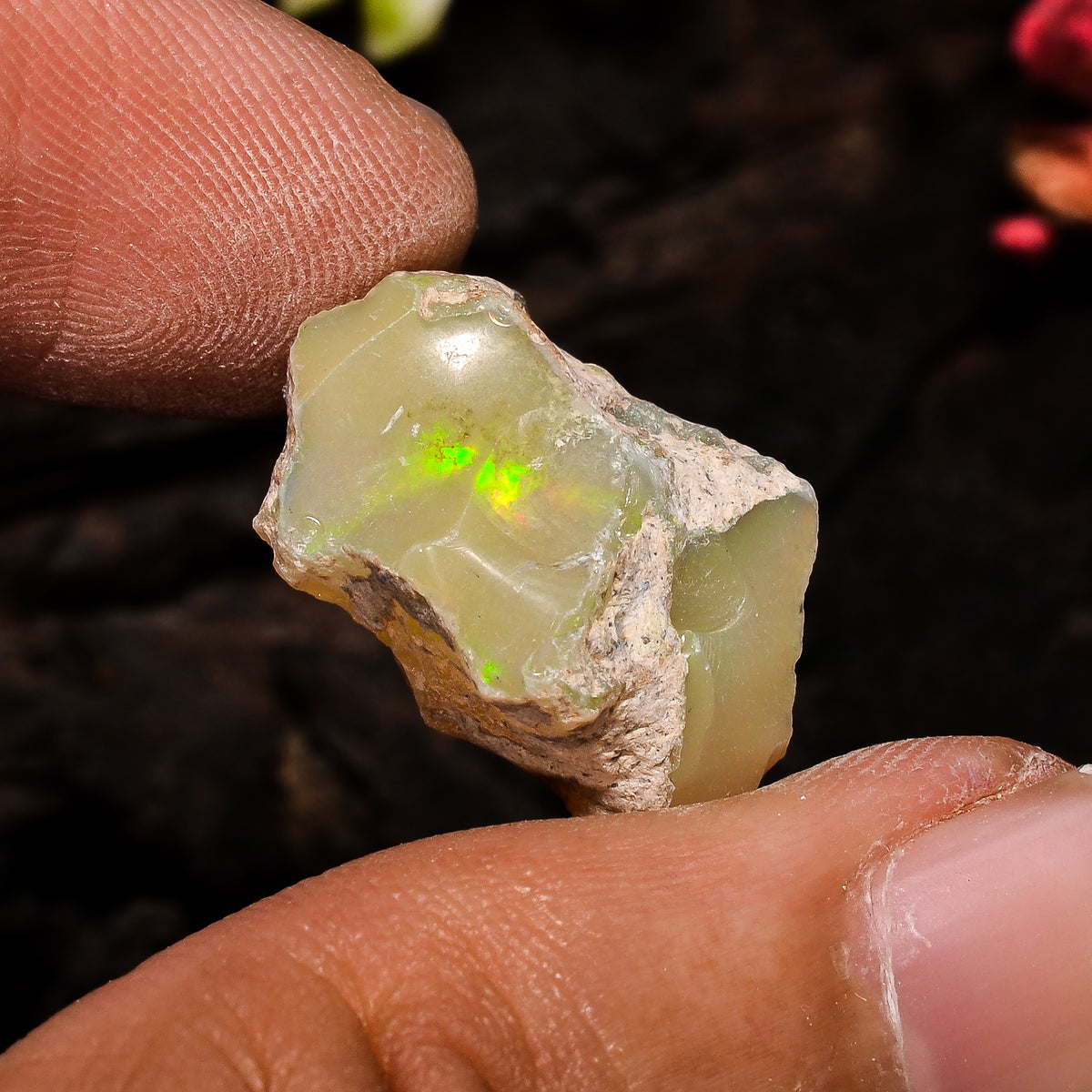 Immaculate Top Grade Quality 100% Natural Welo Fire Ethiopian Opal Fancy Rough Loose Gemstone For Making Jewelry 19X12X10 MM 11 Cts. KR13-88 Sunkarton