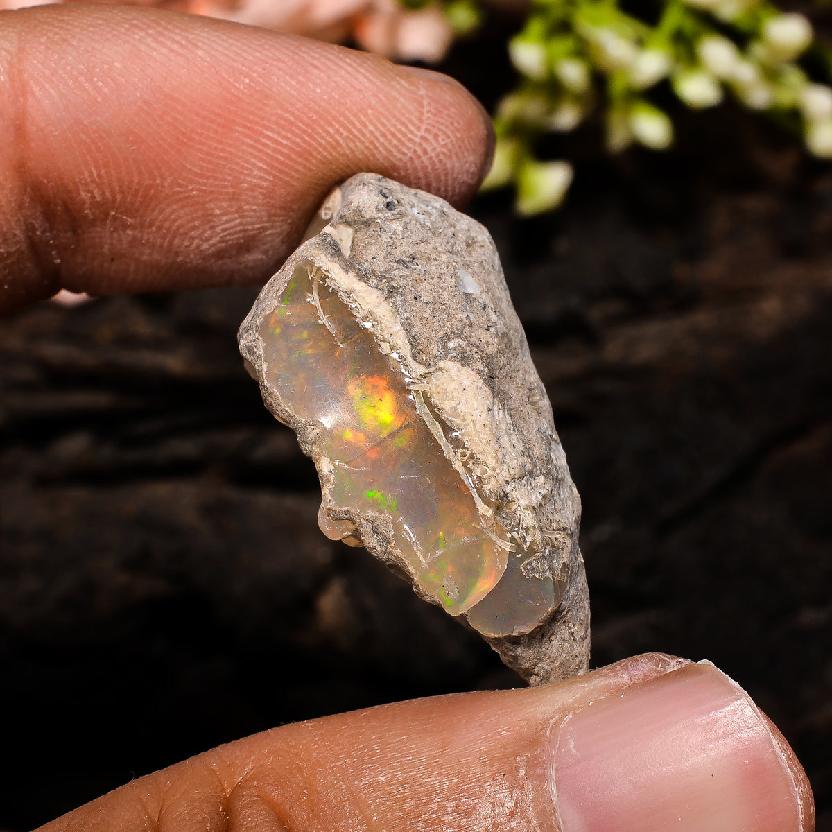 Terrific Top Grade Quality 100% Natural Welo Fire Ethiopian Opal Fancy Rough Loose Gemstone For Making Jewelry 29X13X12 MM 21.5 Cts. KR13-98 Sunkarton