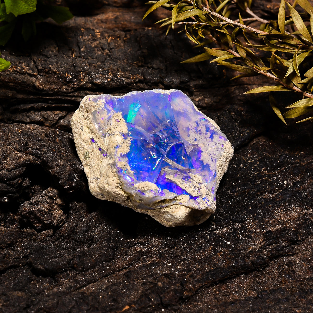 Amazing Top Grade Quality 100% Natural Welo Fire Ethiopian Opal Fancy Rough Loose Gemstone For Making Jewelry 33X28X13 MM 59.75 Cts. KR14-1 Sunkarton