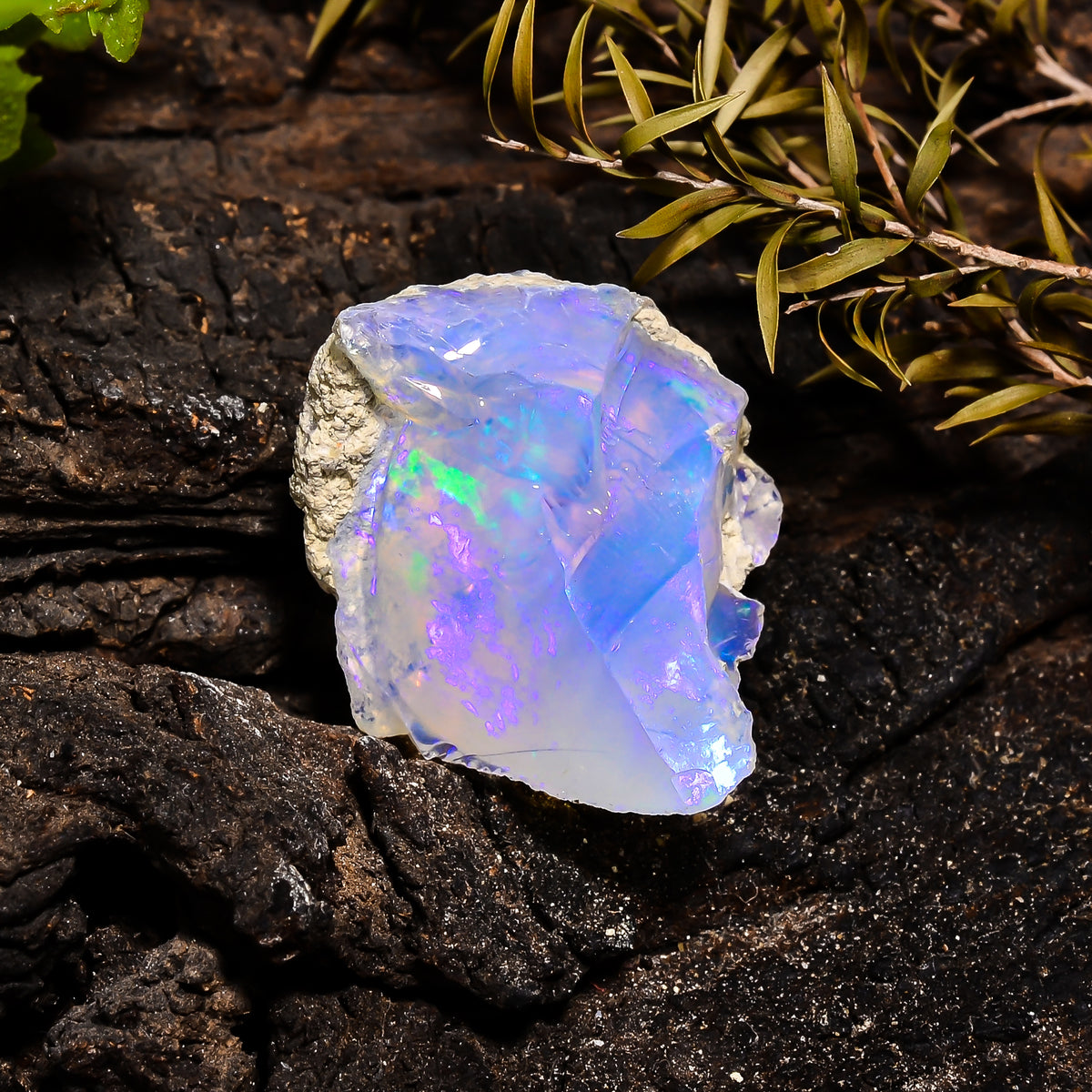 Fabulous Top Grade Quality 100% Natural Welo Fire Ethiopian Opal Fancy Rough Loose Gemstone For Making Jewelry 27X20X15 MM 27.55 Cts KR14-10 Sunkarton