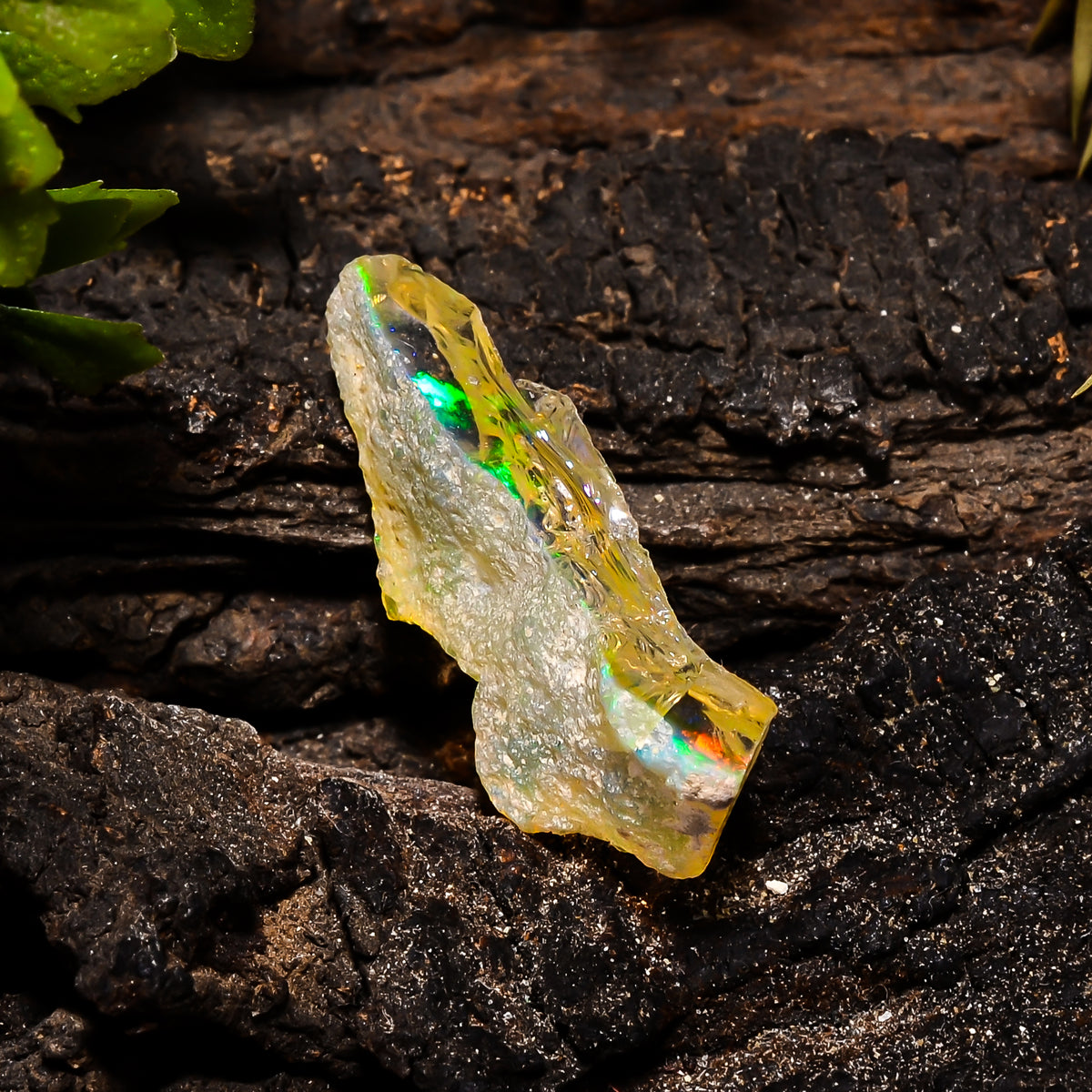 Wonderful Top Grade Quality 100% Natural Welo Fire Ethiopian Opal Fancy Rough Loose Gemstone For Making Jewelry 27X10X6 MM 9.5 Cts. KR14-100 Sunkarton