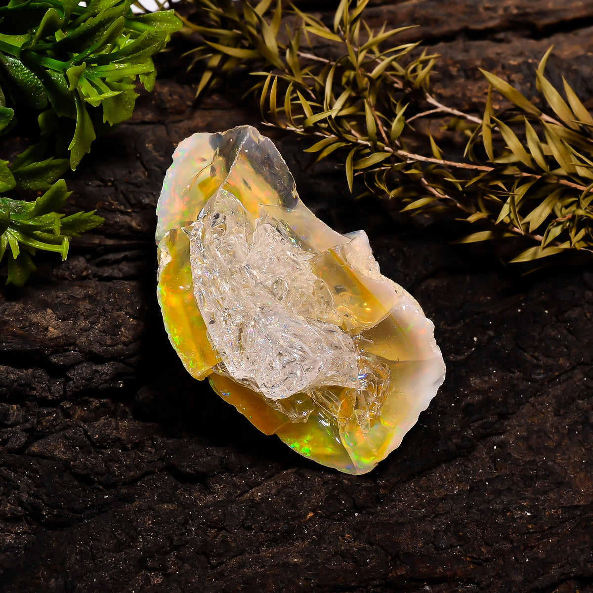 Fantastic Top Grade Quality 100% Natural Welo Fire Ethiopian Opal Fancy Rough Loose Gemstone For Making Jewelry 50X37X27 MM 171 Cts. KR14-11 Sunkarton