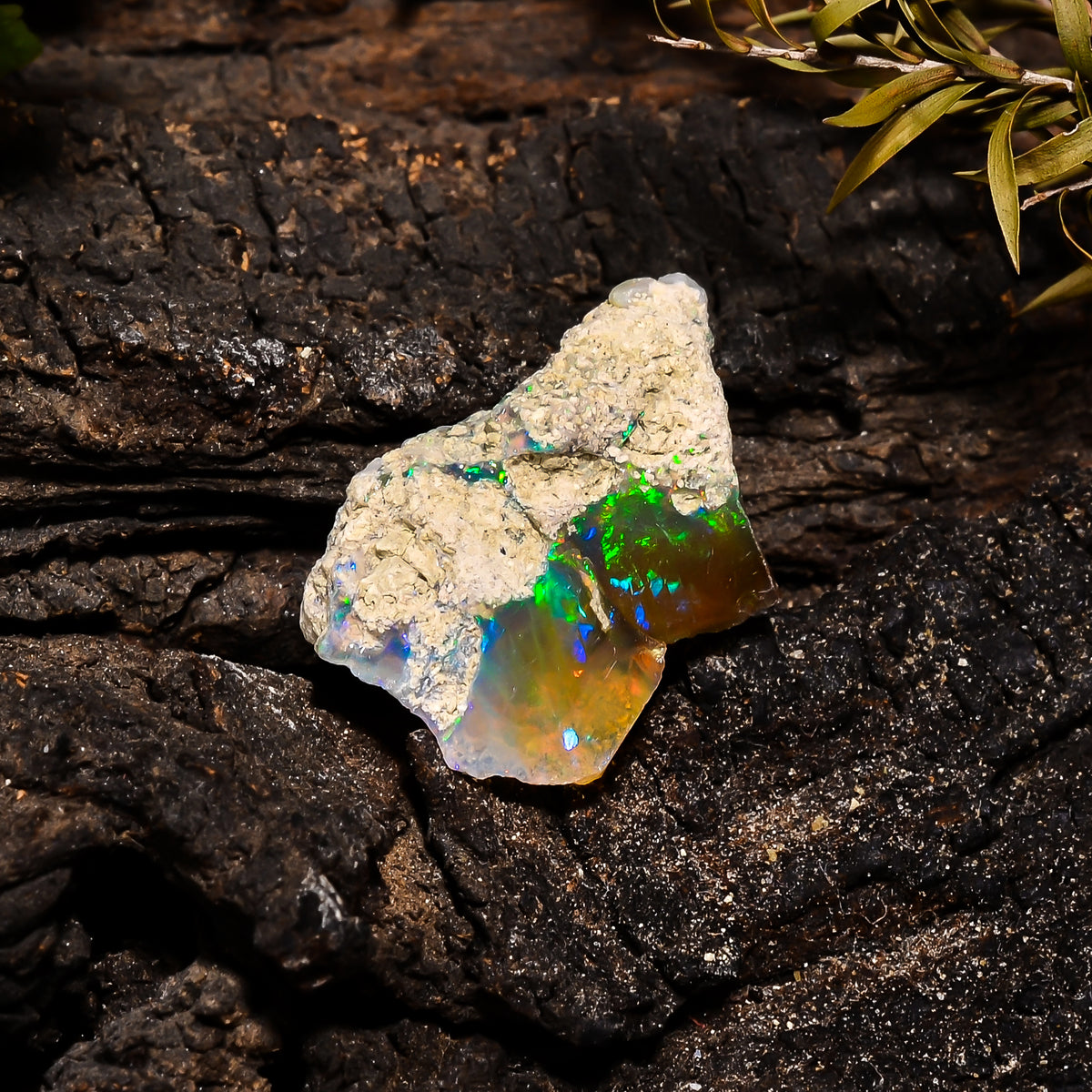 Gorgeous Top Grade Quality 100% Natural Welo Fire Ethiopian Opal Fancy Rough Loose Gemstone For Making Jewelry 23X14X10 MM 12.1 Cts. KR14-12 Sunkarton