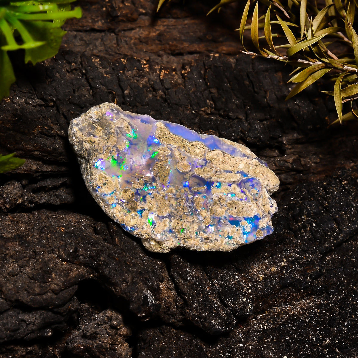 Immaculate Top Grade Quality 100% Natural Welo Fire Ethiopian Opal Fancy Rough Loose Gemstone For Making Jewelry 32X19X8 MM 17.6 Cts KR14-13 Sunkarton