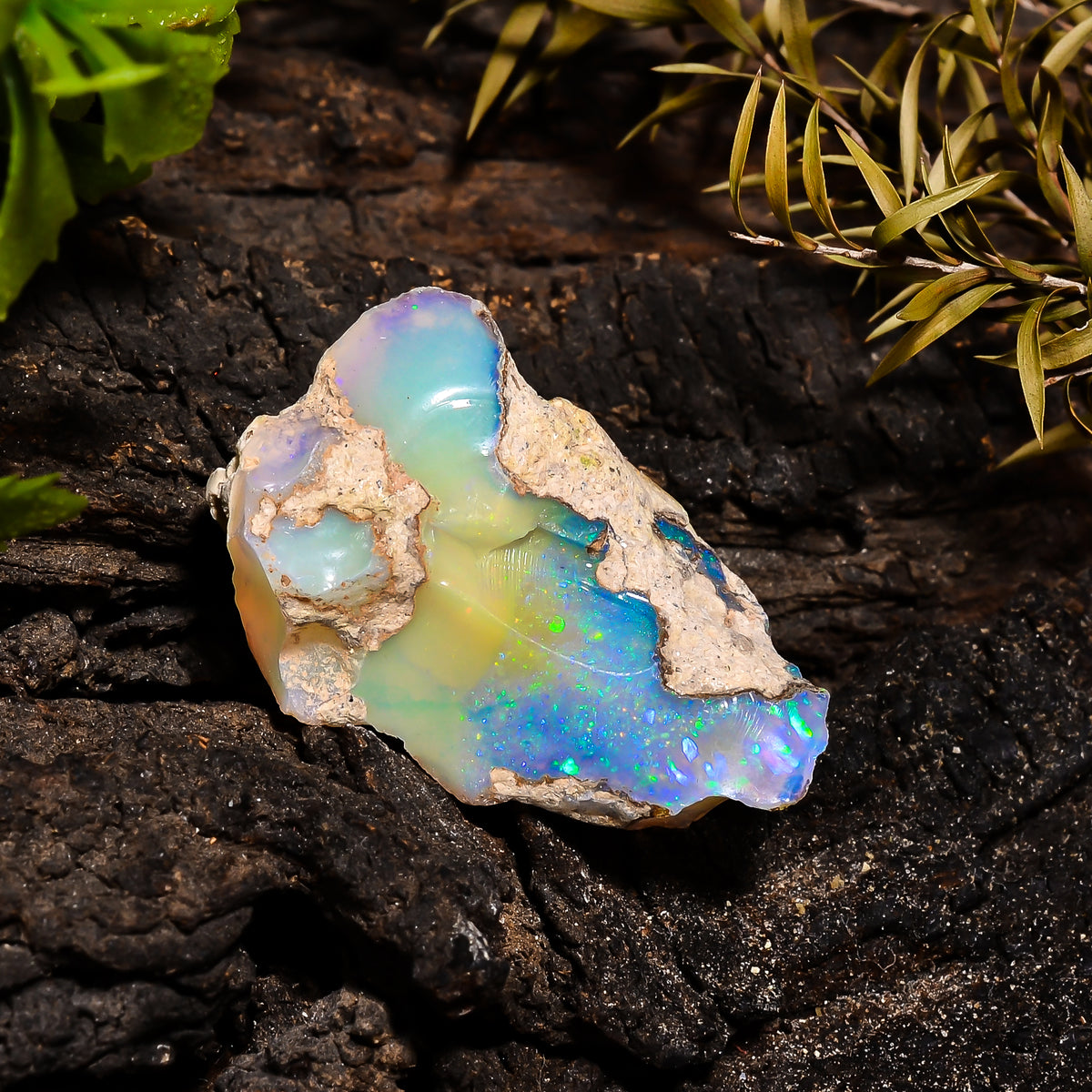 Marvellous Top Grade Quality 100% Natural Welo Fire Ethiopian Opal Fancy Rough Loose Gemstone For Making Jewelry 31X20X12 MM 24 Cts. KR14-15 Sunkarton