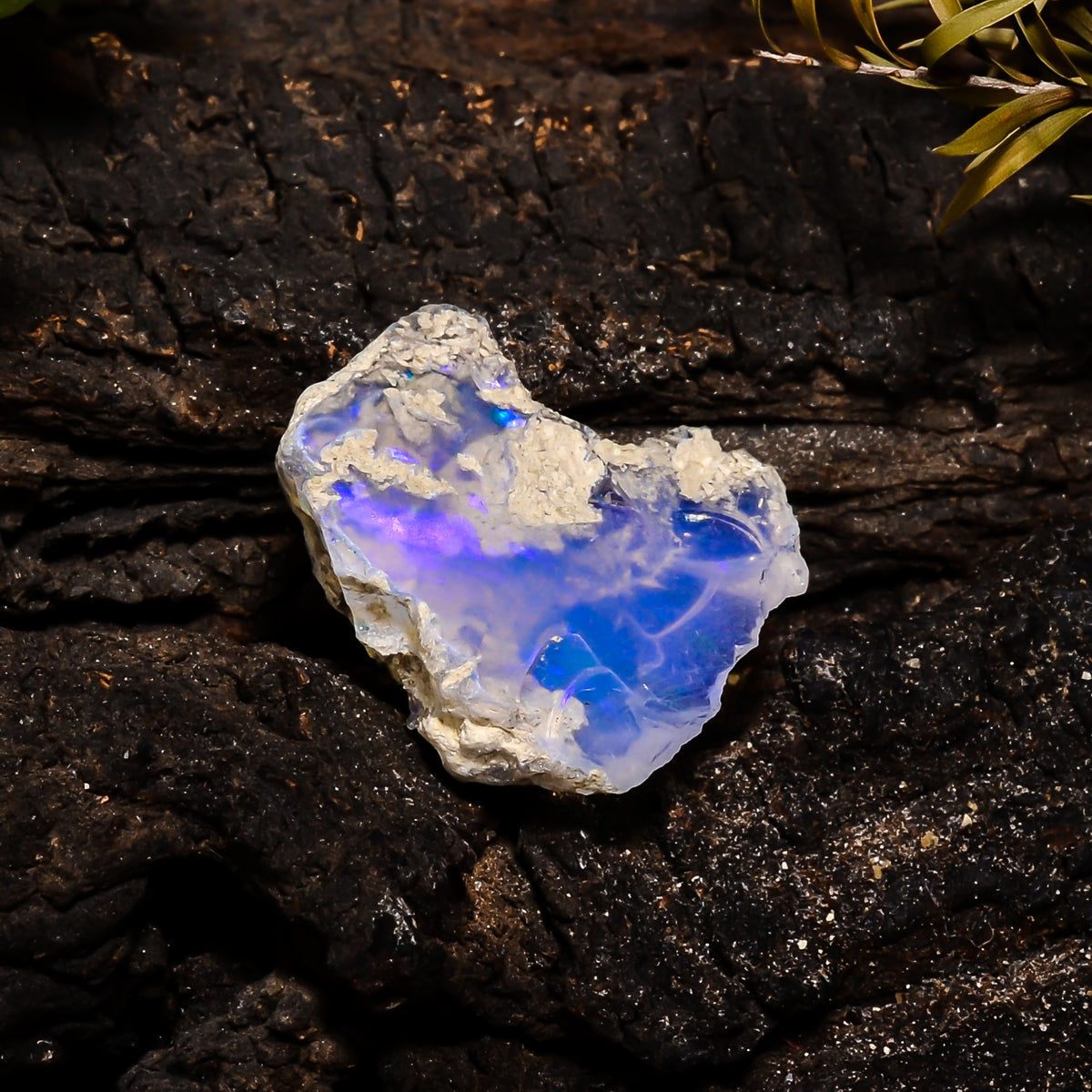 Superb Top Grade Quality 100% Natural Welo Fire Ethiopian Opal Fancy Shape Rough Loose Gemstone For Making Jewelry 20X20X7MM 8.2 Cts KR14-19 Sunkarton