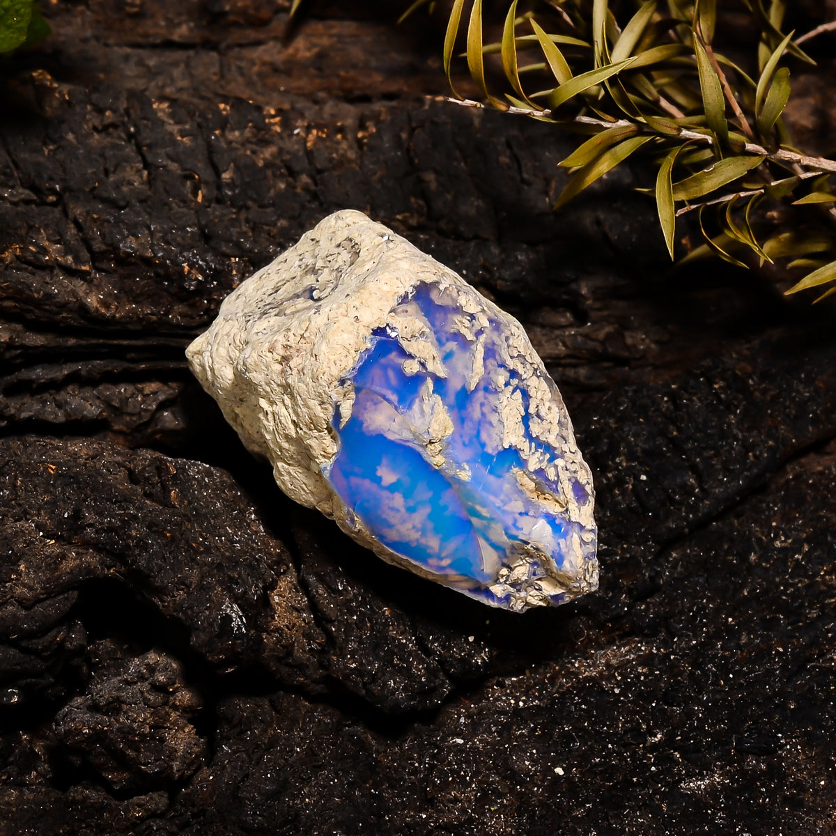 Stunning Top Grade Quality 100% Natural Welo Fire Ethiopian Opal Fancy Rough Loose Gemstone For Making Jewelry 25X20X15 MM 31 Cts. KR14-20 Sunkarton