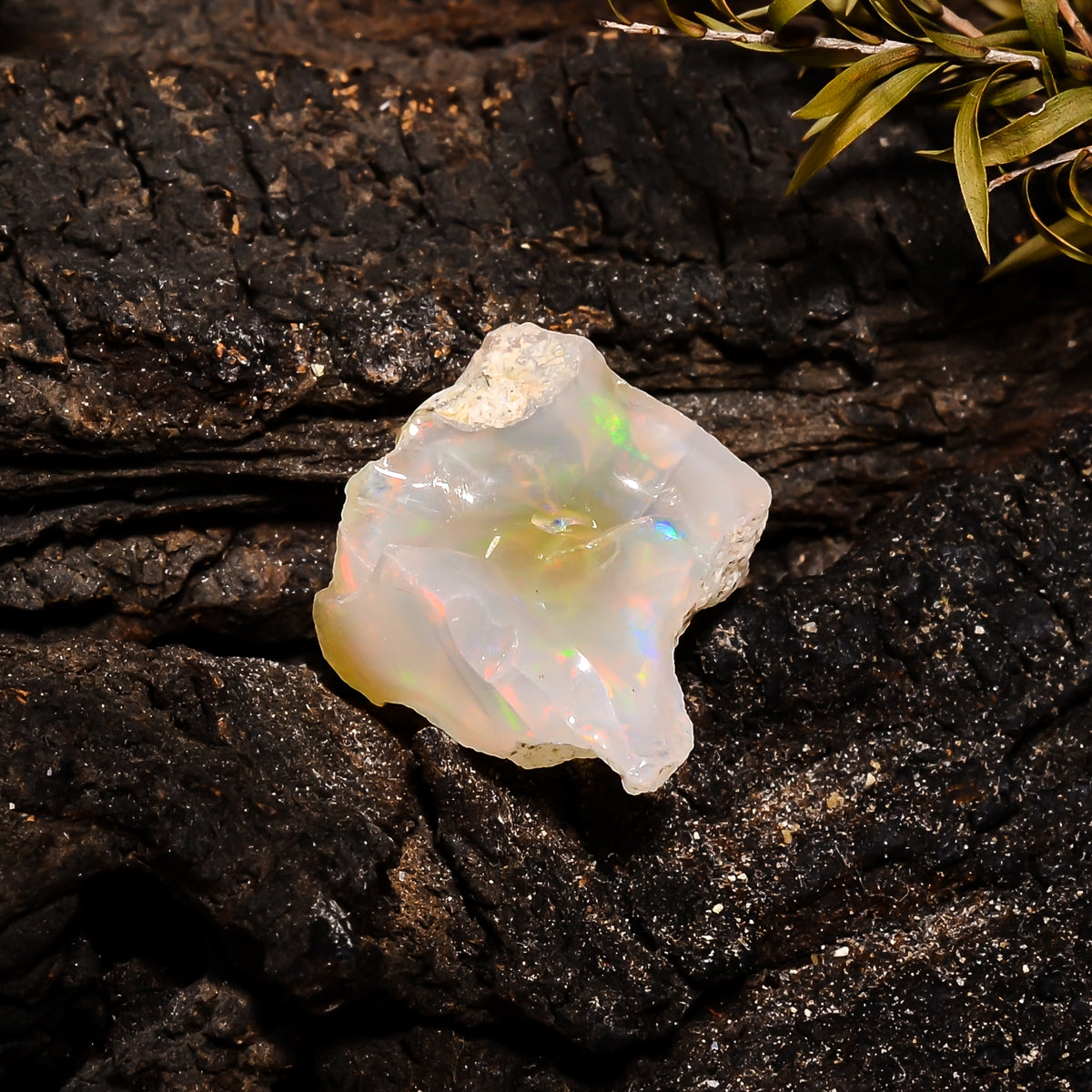 Terrific Top Grade Quality 100% Natural Welo Fire Ethiopian Opal Fancy Rough Loose Gemstone For Making Jewelry 16X15X12 MM 13.6 Cts. KR14-23 Sunkarton