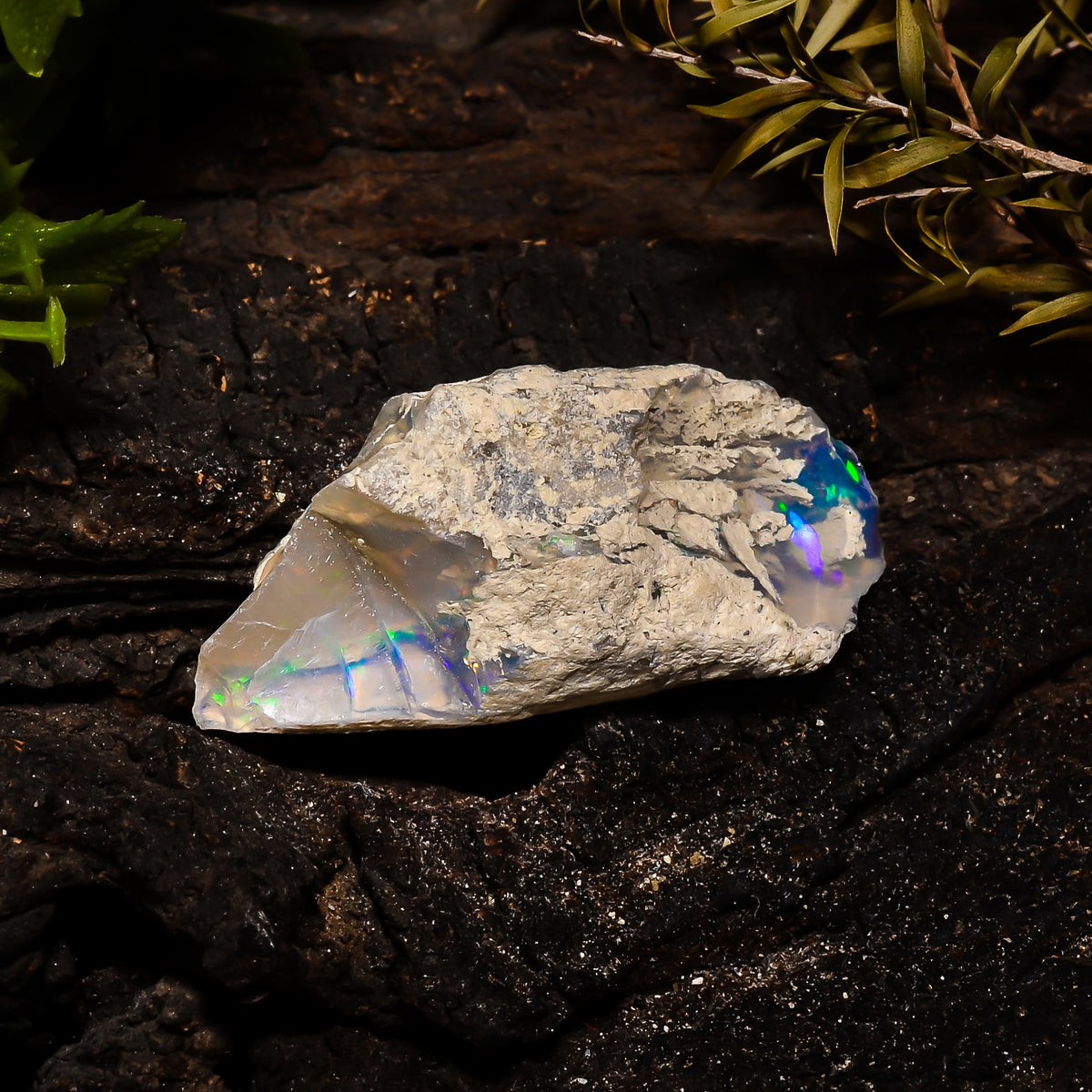 Dazzling Top Grade Quality 100% Natural Welo Fire Ethiopian Opal Fancy Rough Loose Gemstone For Making Jewelry 37X16X12 MM 22.8 Cts. KR14-31 Sunkarton