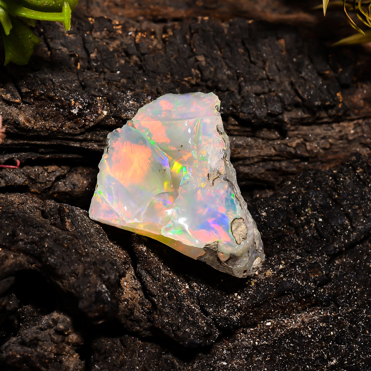 Fabulous Top Grade Quality 100% Natural Welo Fire Ethiopian Opal Fancy Rough Loose Gemstone For Making Jewelry 22X21X11 MM 18.45 Cts KR14-35 Sunkarton