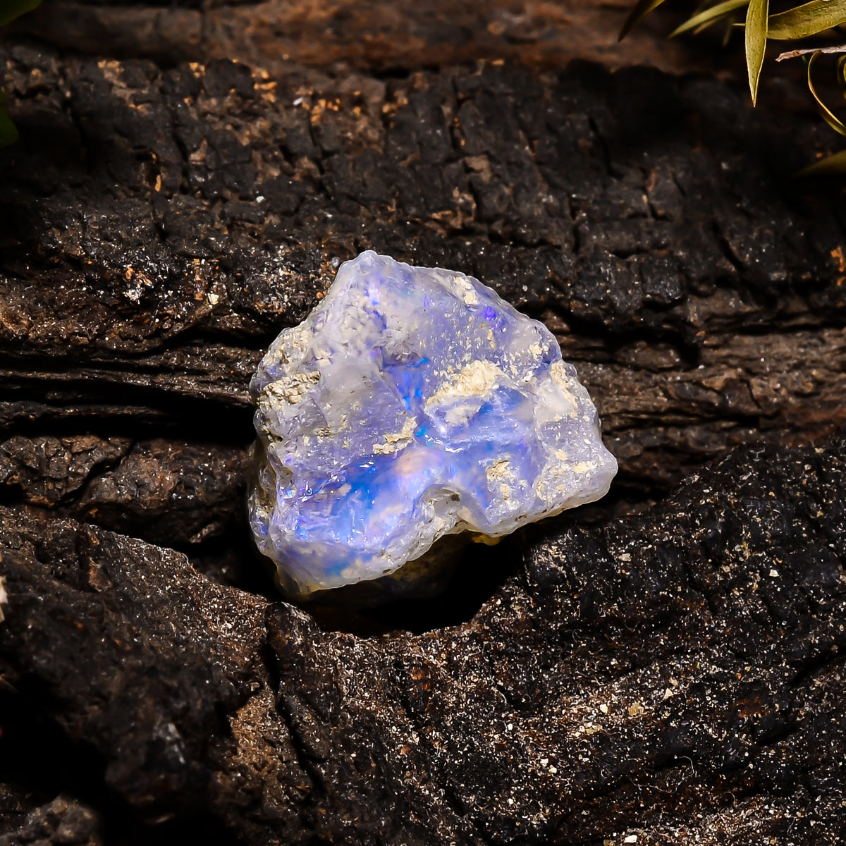 Incredible Top Grade Quality 100% Natural Welo Fire Ethiopian Opal Fancy Rough Loose Gemstone For Making Jewelry 20X17X11MM 10.45 Cts KR1439 Sunkarton