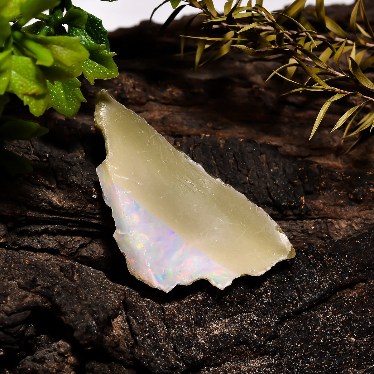 Unique Top Grade Quality 100% Natural Welo Fire Ethiopian Opal Fancy Rough Loose Gemstone For Making Jewelry 40X22X5 MM 19.15 Cts. KR14-49 Sunkarton