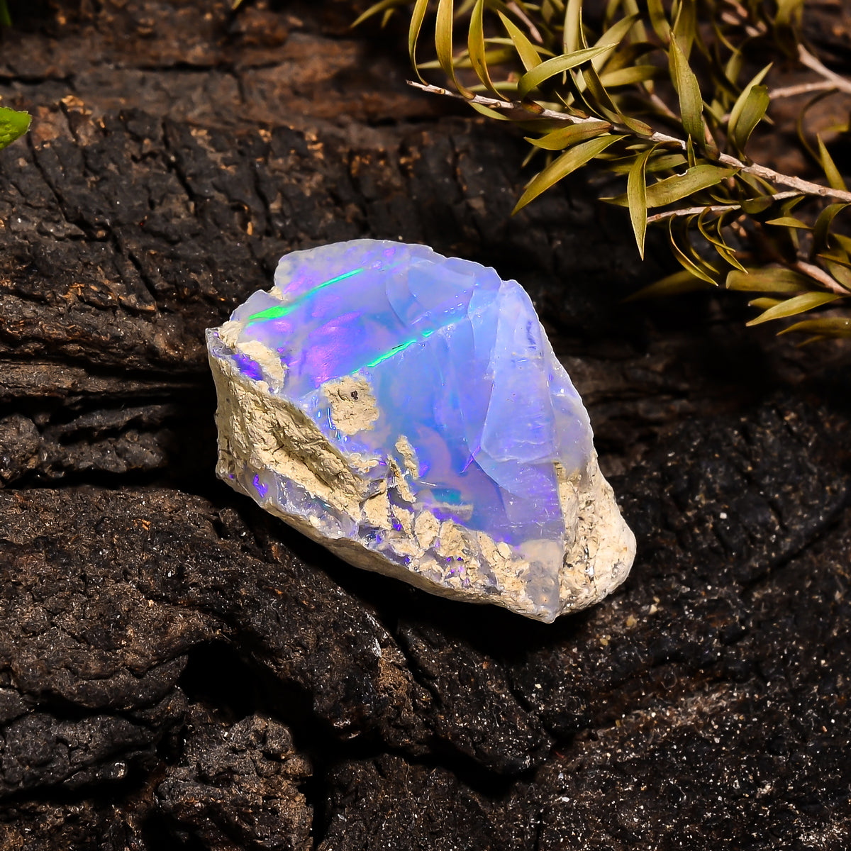 Classic Top Grade Quality 100% Natural Welo Fire Ethiopian Opal Fancy Rough Loose Gemstone For Making Jewelry 29X19X17 MM 31.2 Cts. KR14-5 Sunkarton