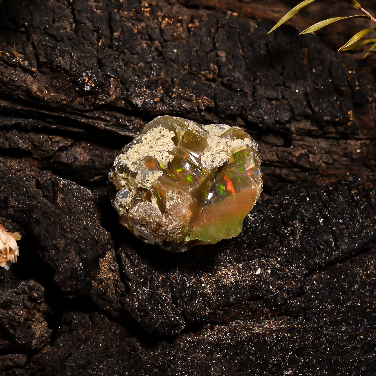 Splendid Top Grade Quality 100% Natural Welo Fire Ethiopian Opal Fancy Rough Loose Gemstone For Making Jewelry 20X19X14 MM 20.55 Cts KR14-68 Sunkarton