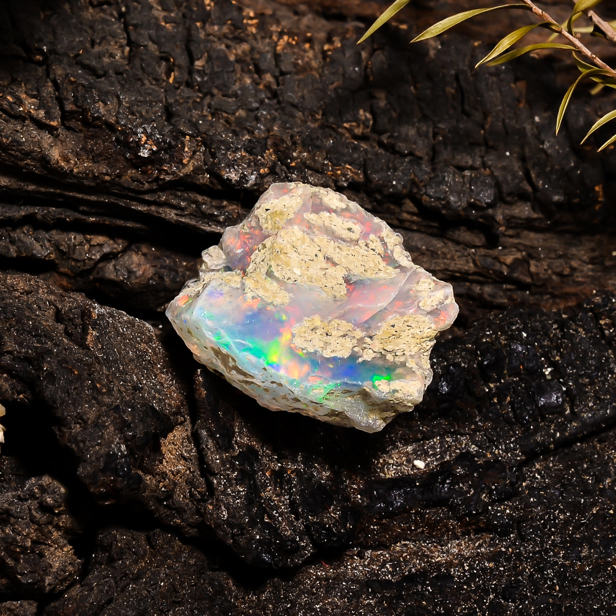 Tempting Top Grade Quality 100% Natural Welo Fire Ethiopian Opal Fancy Rough Loose Gemstone For Making Jewelry 21X16X11 MM 12.3 Cts. KR14-72 Sunkarton