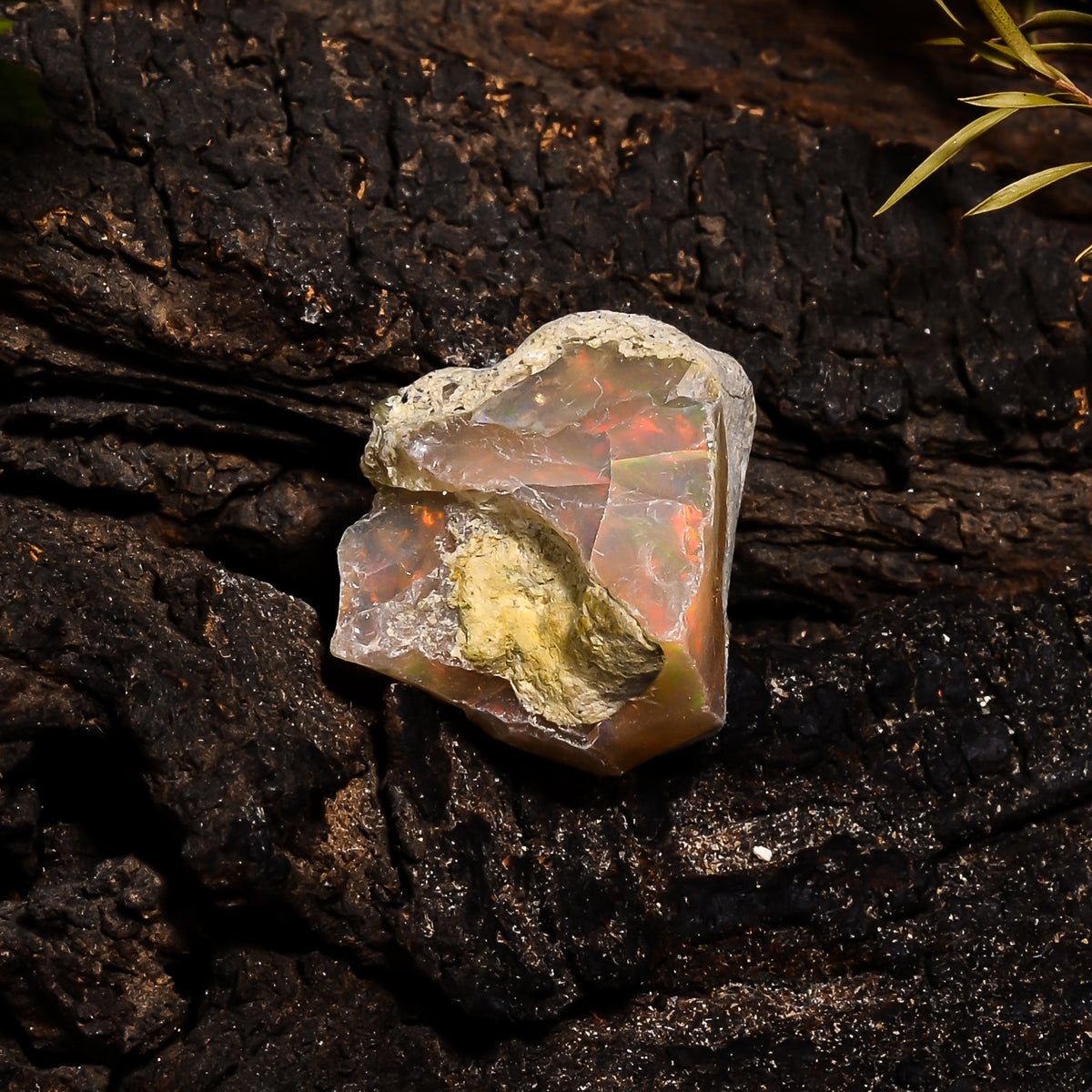 Unique Top Grade Quality 100% Natural Welo Fire Ethiopian Opal Fancy Rough Loose Gemstone For Making Jewelry 18X16X14 MM 16.9 Cts. KR14-74 Sunkarton