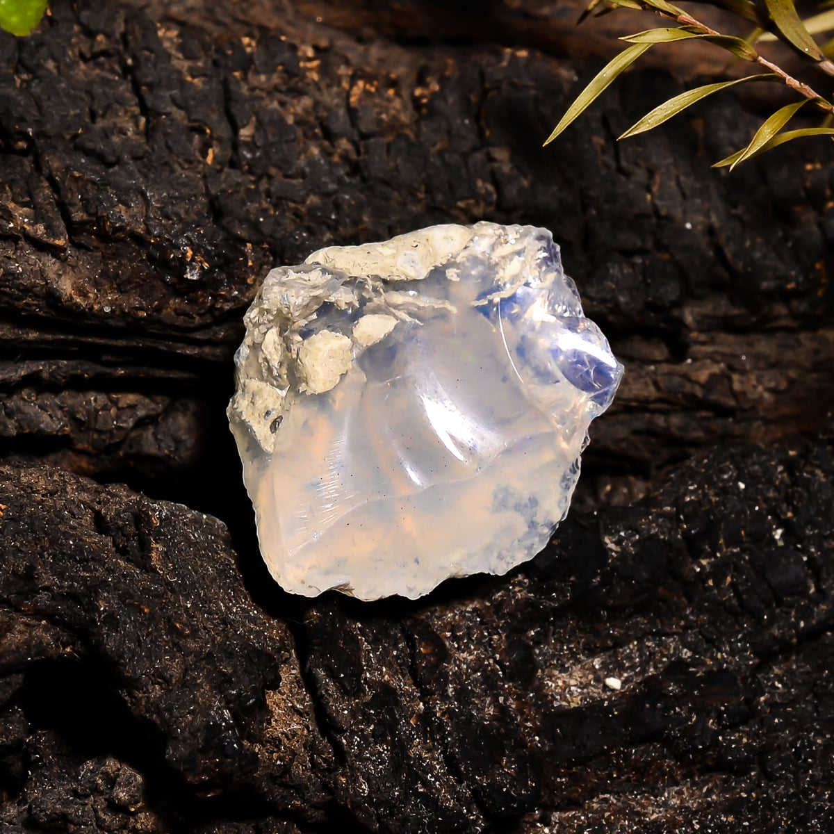 Exclusive Top Grade Quality 100% Natural Welo Fire Ethiopian Opal Fancy Rough Loose Gemstone For Making Jewelry 23X18X7 MM 9.35 Cts. KR14-83 Sunkarton