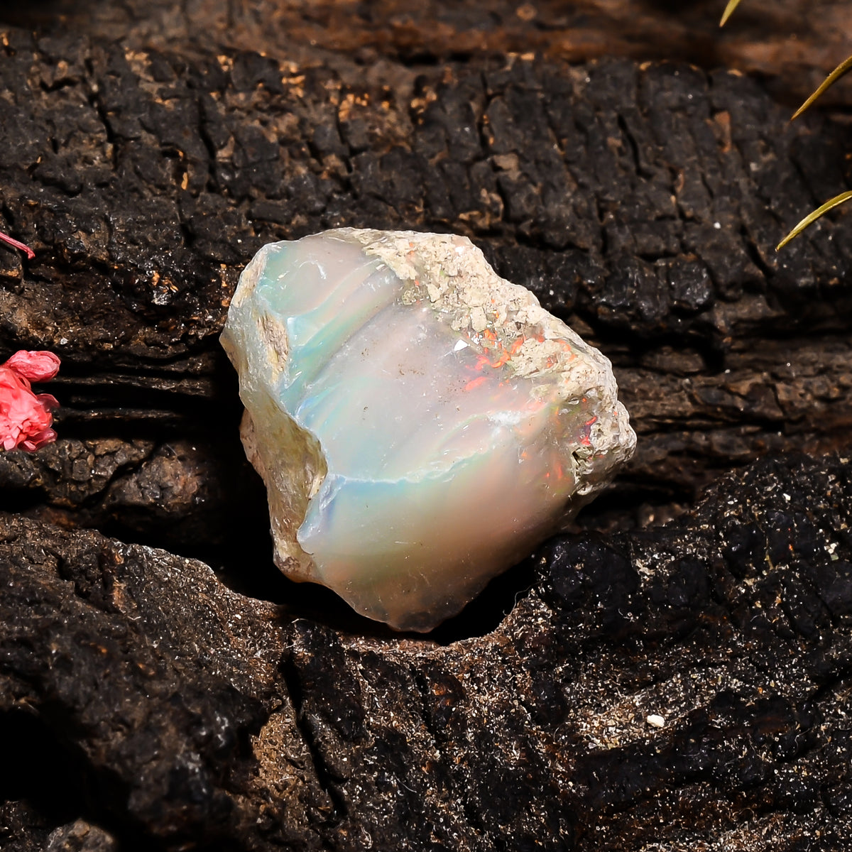 Gorgeous Top Grade Quality 100% Natural Welo Fire Ethiopian Opal Fancy Rough Loose Gemstone For Making Jewelry 19X17X12 MM 11.6 Cts. KR14-87 Sunkarton