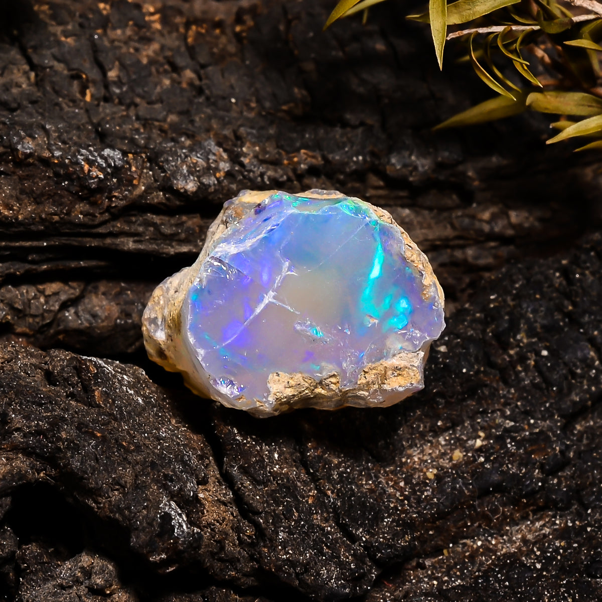 Elegant Top Grade Quality 100% Natural Welo Fire Ethiopian Opal Fancy Rough Loose Gemstone For Making Jewelry 20X16X14 MM 20.5 Cts. KR14-9 Sunkarton
