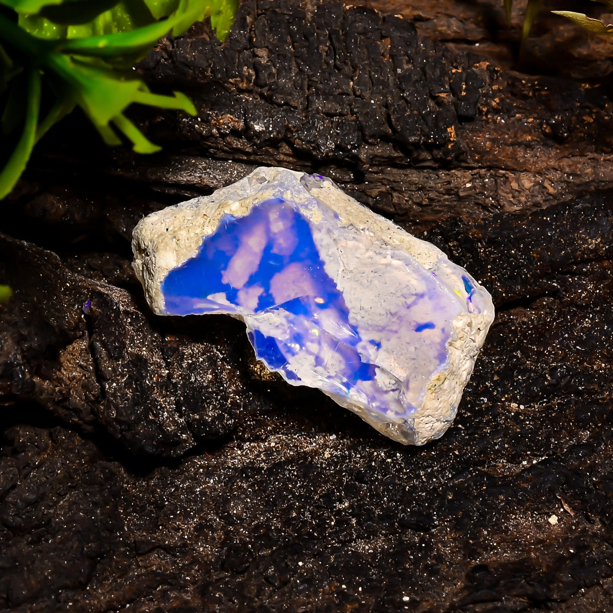 Tempting Top Grade Quality 100% Natural Welo Fire Ethiopian Opal Fancy Rough Loose Gemstone For Making Jewelry 31X17X9 MM 16.75 Cts. KR15-22 Sunkarton