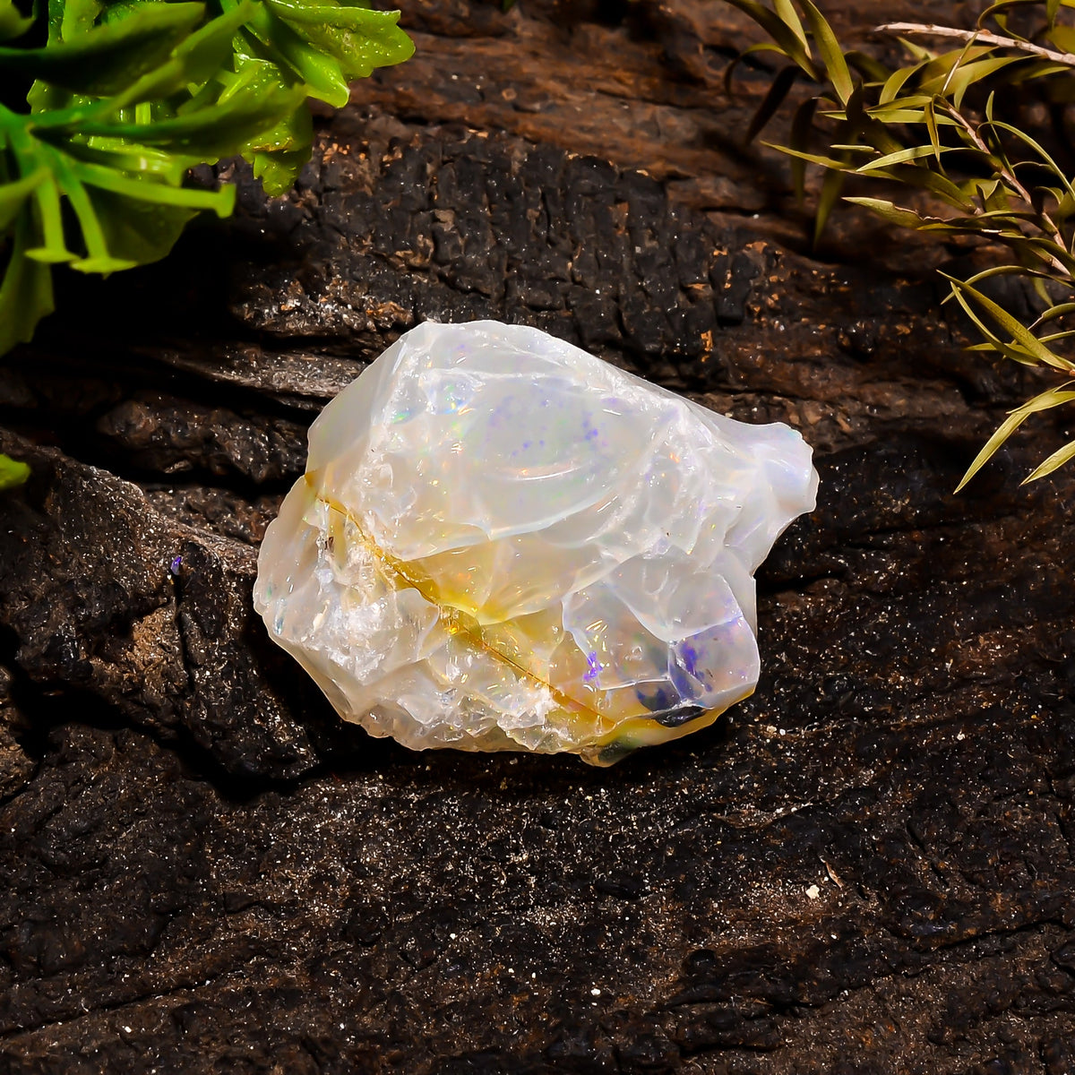 Terrific Top Grade Quality 100% Natural Welo Fire Ethiopian Opal Rough Loose Gemstone For Making Jewelry 33X26X18 MM 59.85 Cts. KR15-23 Sunkarton
