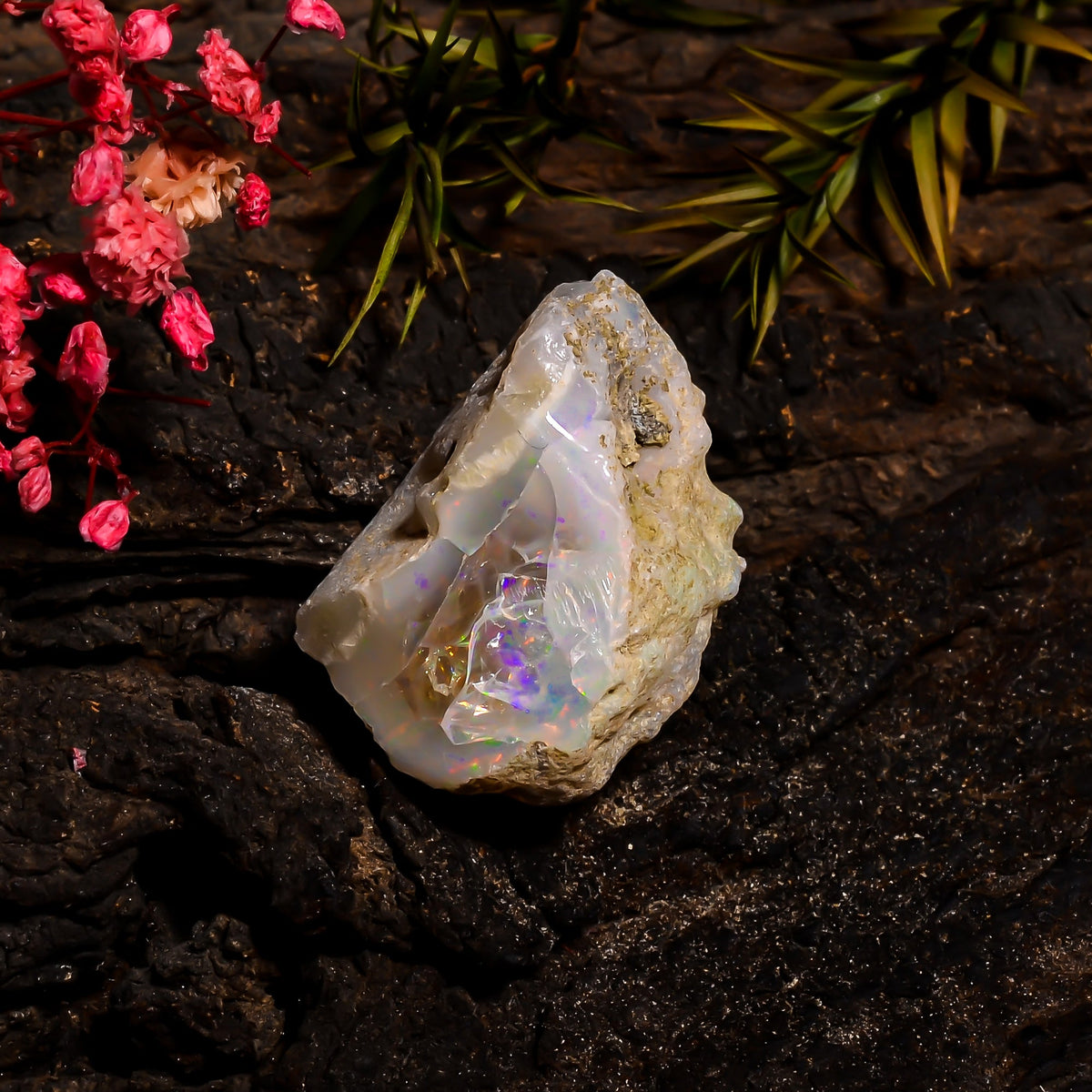 Immaculate Top Grade Quality 100% Natural Welo Fire Ethiopian Opal Rough Loose Gemstone For Making Jewelry 29X20X19 MM 50.35 Cts. KR15-38 Sunkarton