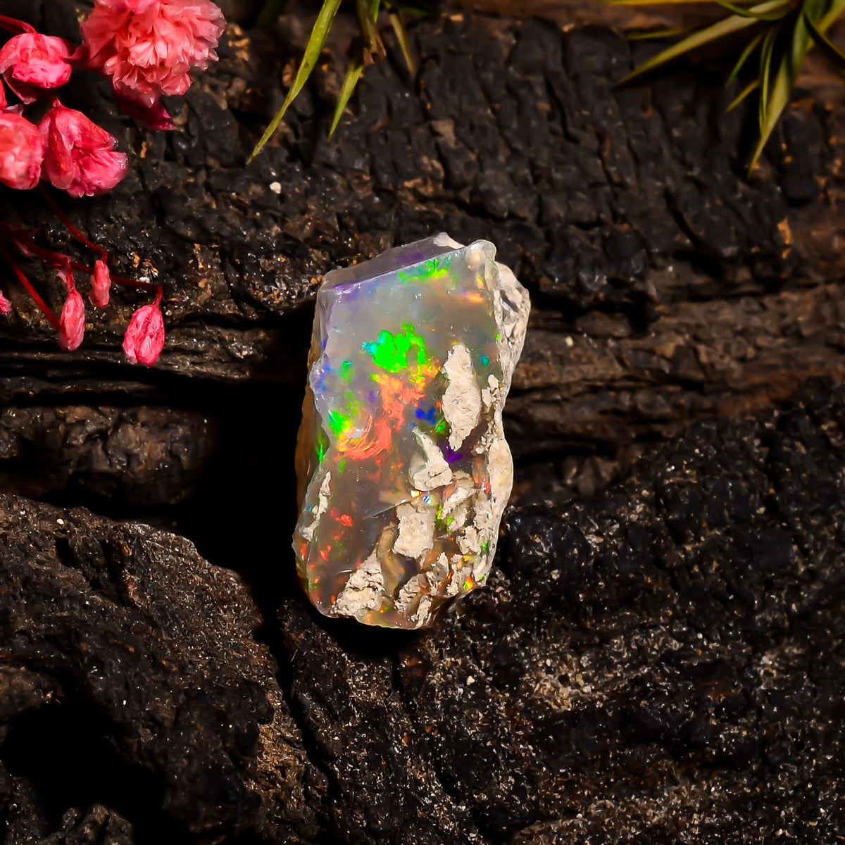 Excellent Top Grade Quality 100% Natural Welo Fire Ethiopian Opal Rough Loose Gemstone For Making Jewelry 18X17X10 MM 13.55 Cts. KR15-57 Sunkarton
