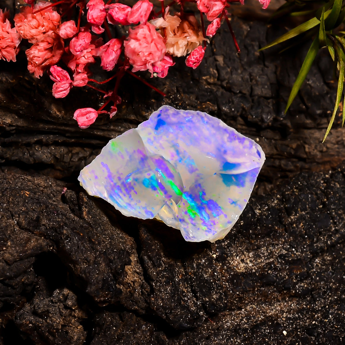 Mind Blowing Top Grade Quality 100% Natural Welo Fire Ethiopian Opal Rough Loose Gemstone For Making Jewelry 26X18X12 MM 17.3 Cts. KR15-66 Sunkarton
