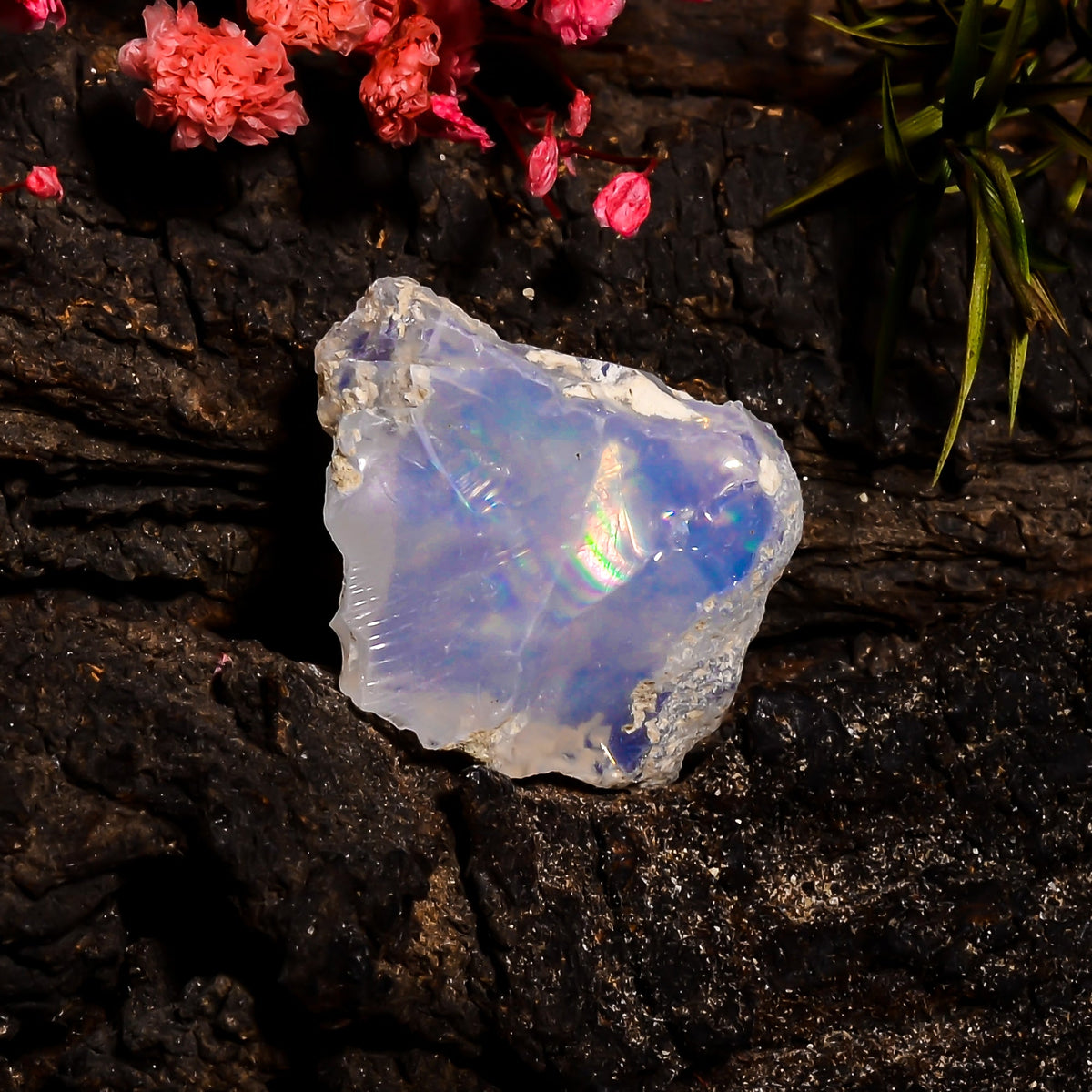 Terrific Top Grade Quality 100% Natural Welo Fire Ethiopian Opal Fancy Rough Loose Gemstone For Making Jewelry 24X18X8 MM 12.55 Cts. KR15-73 Sunkarton